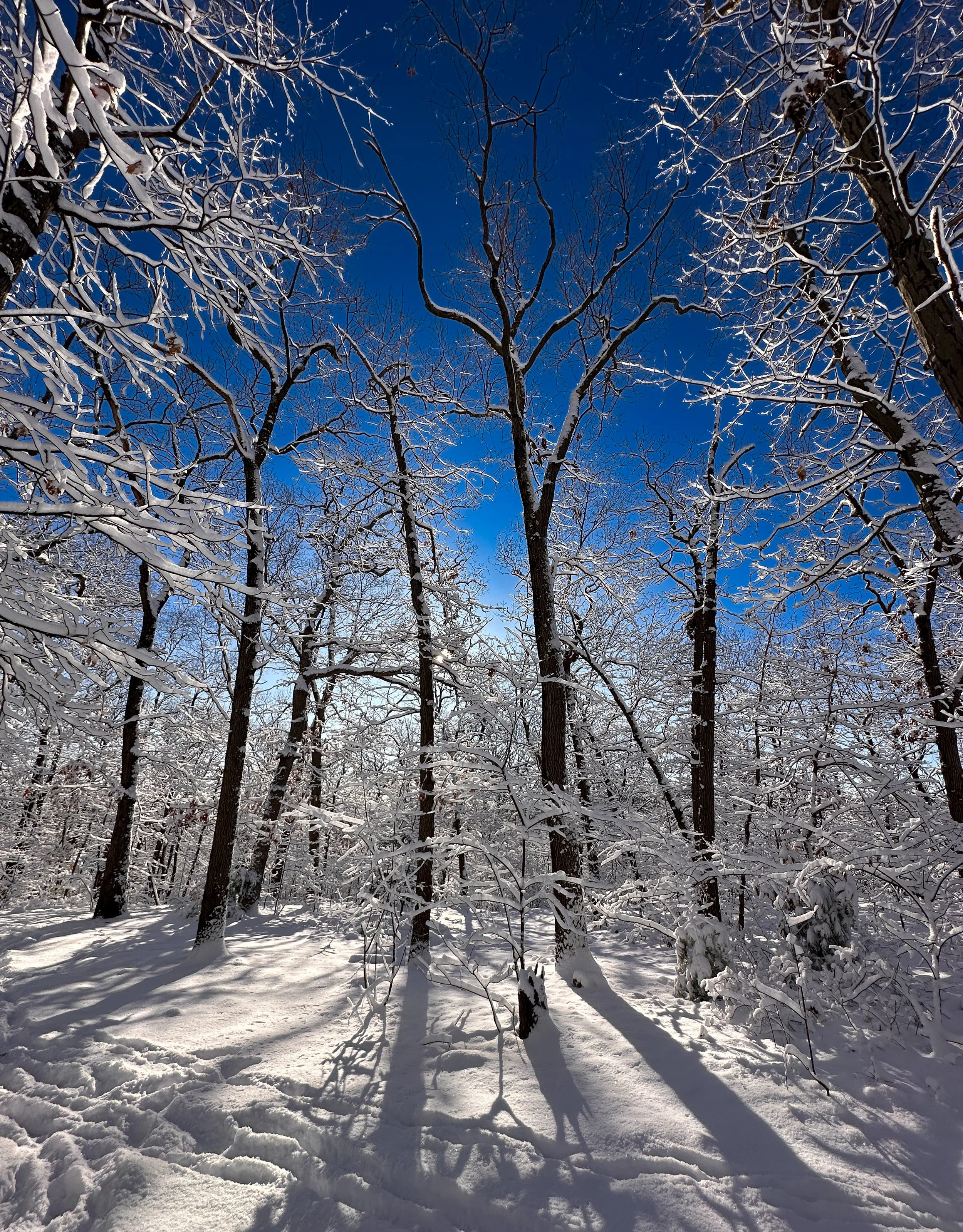 Mt. Gilboa, Arlington, Massachusetts 