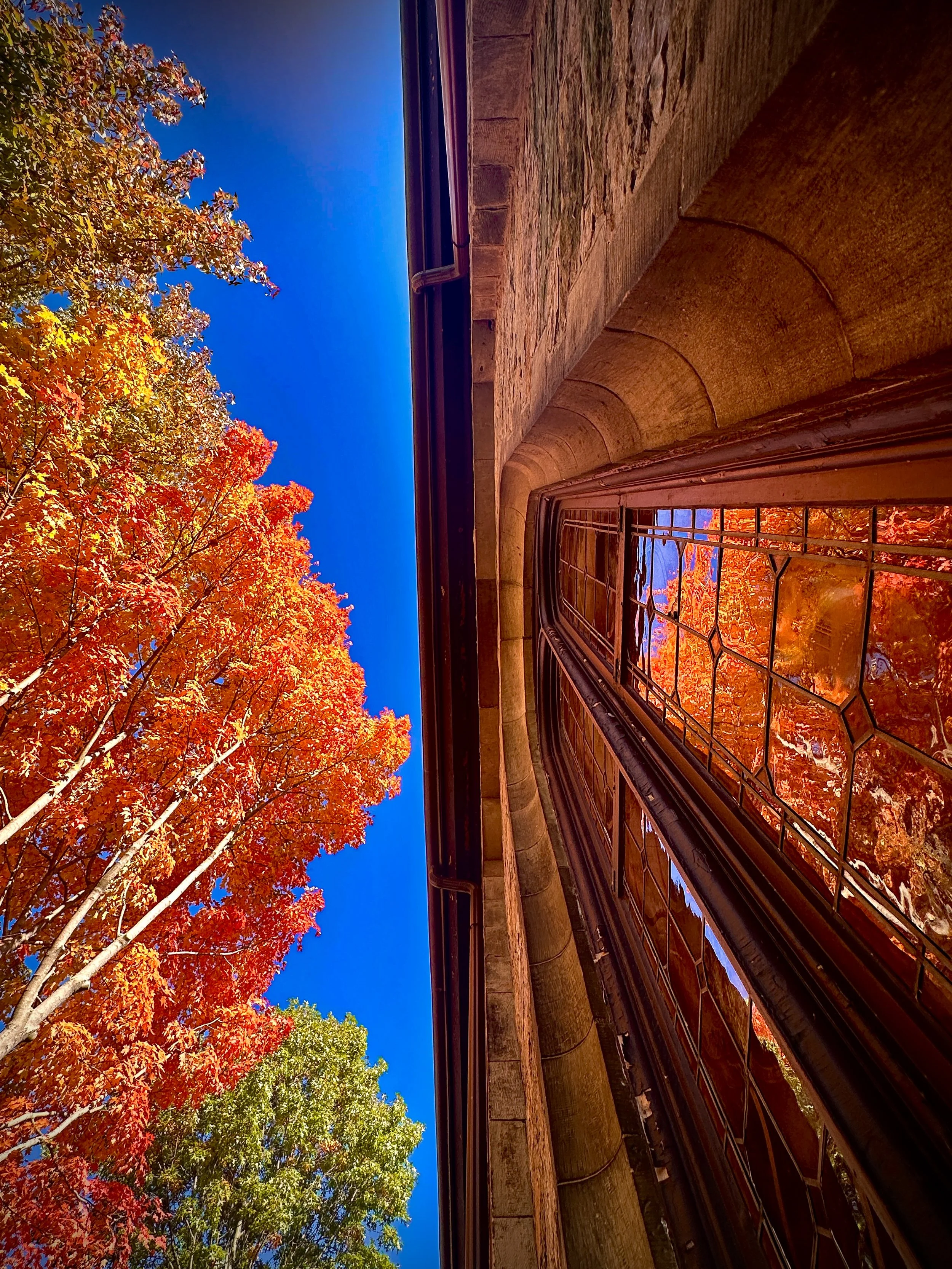 Falling for Fall
