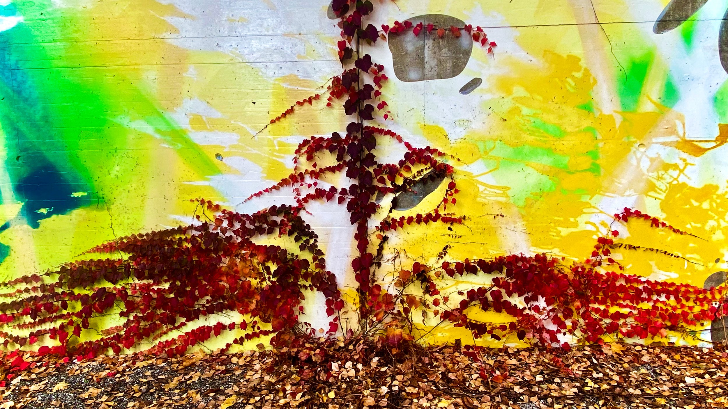 Graffiti at Dreirosenplatz