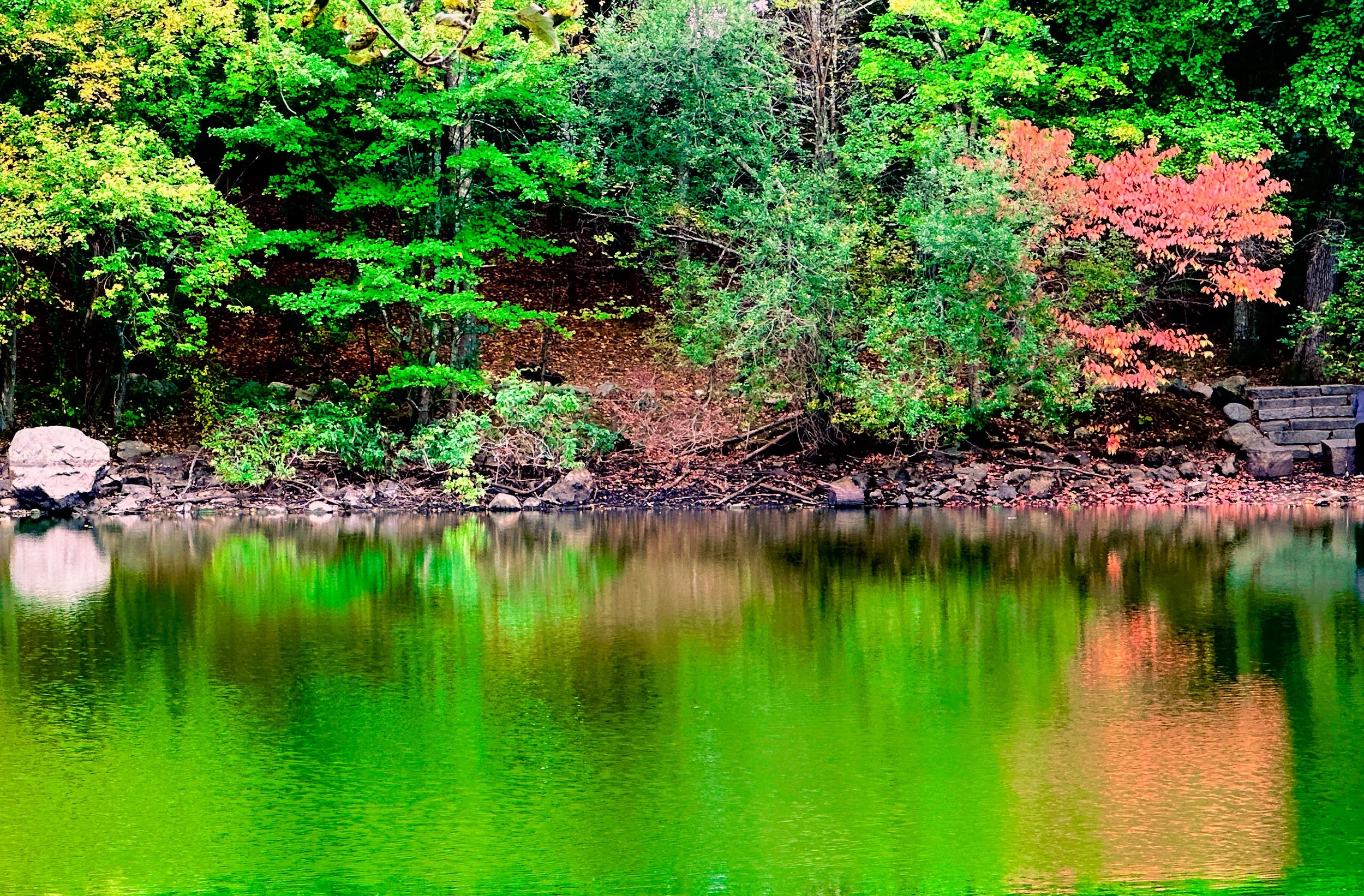Menotomy Park, Arlington