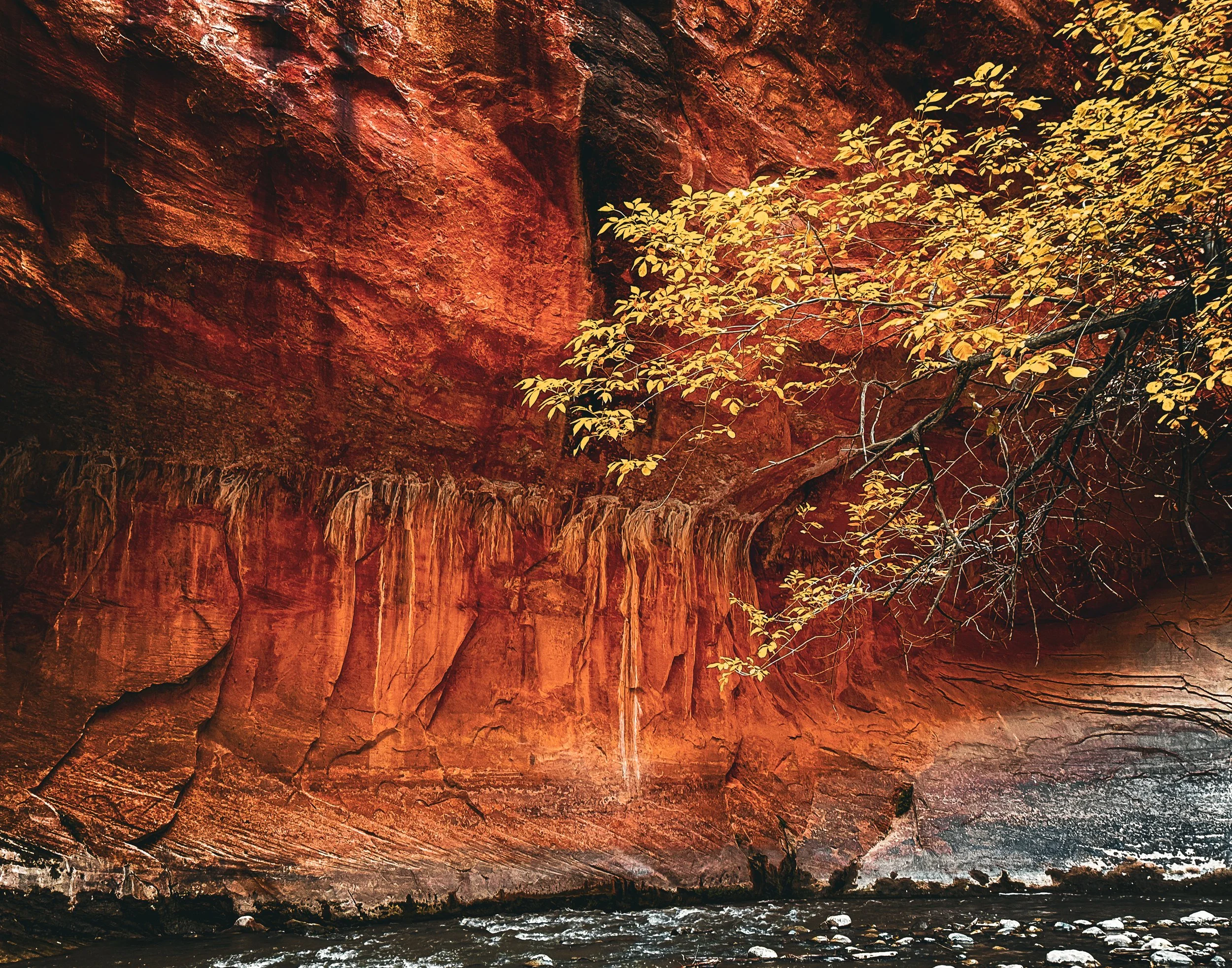 The Narrows, Zion