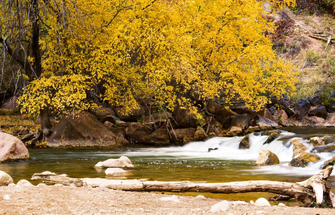 Zion National Park, Utah