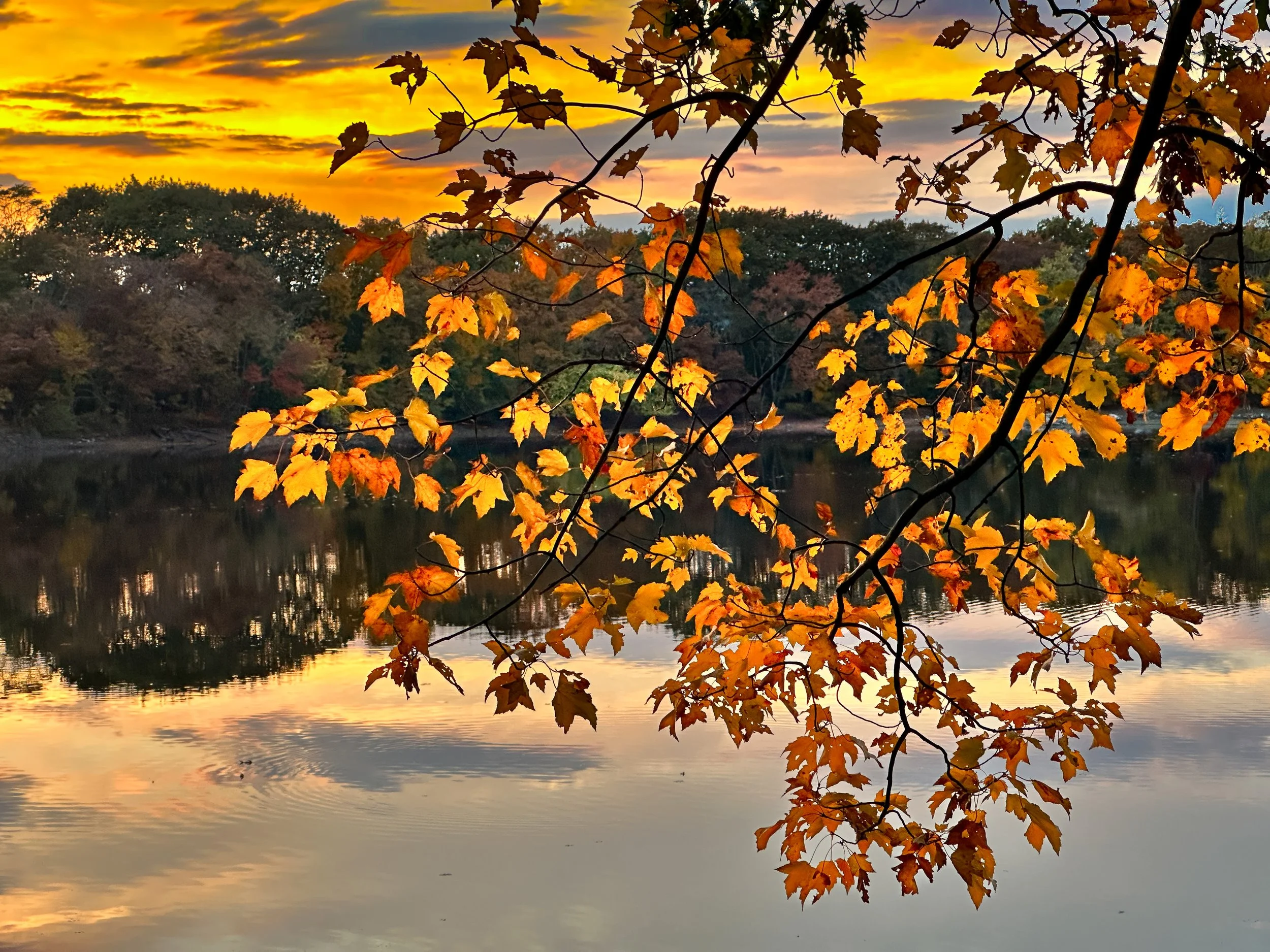 Arlington Reservoir 