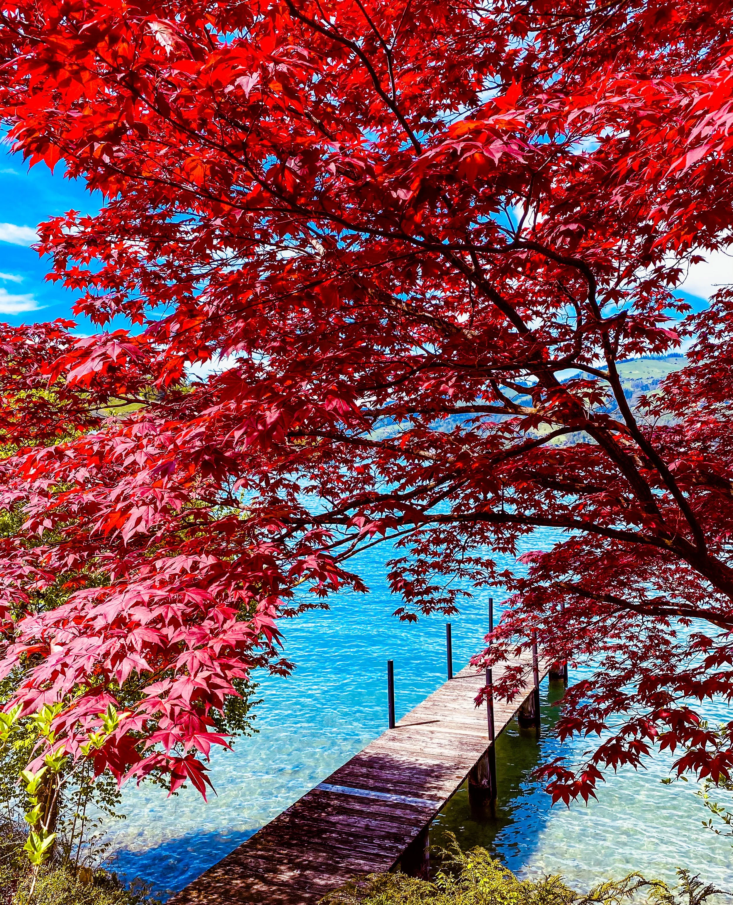 Thunersee, Switzerland