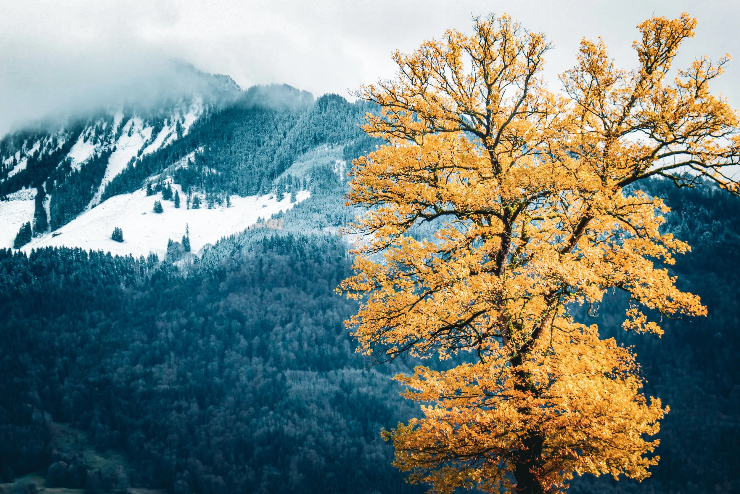 Gruyere, Switzerland