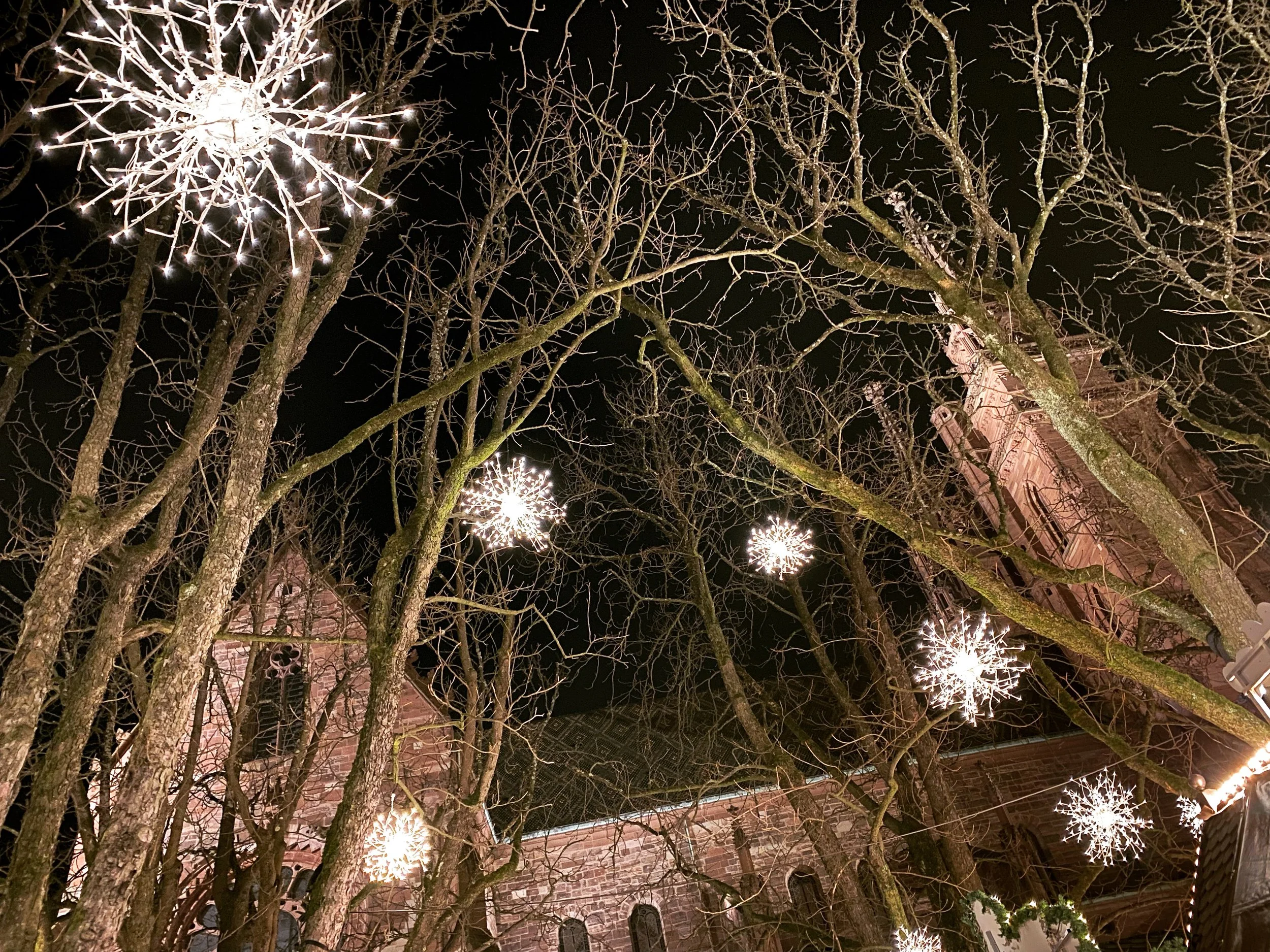 Münsterplatz at Christmas Time