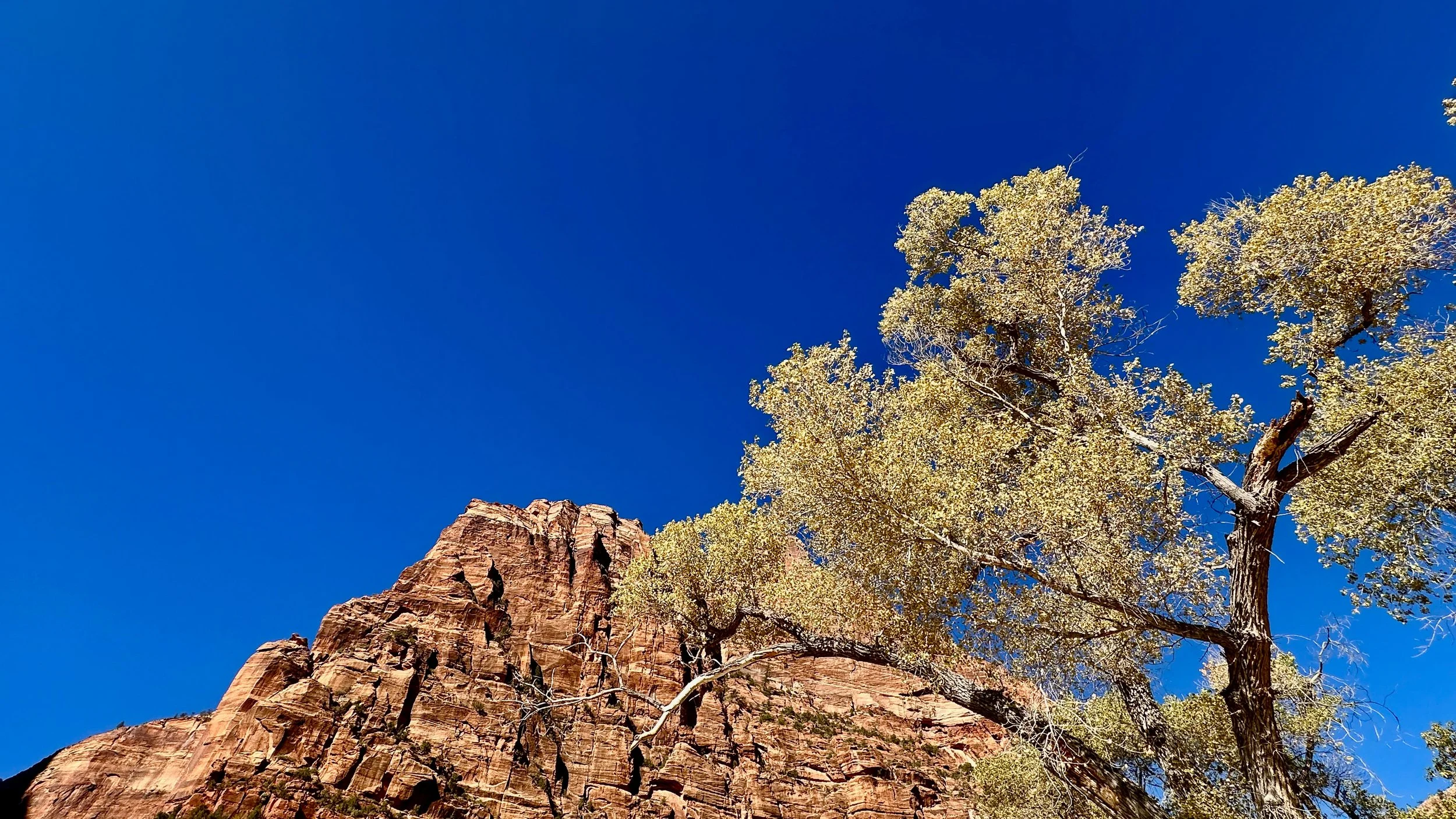 Mount Moroni, Zion