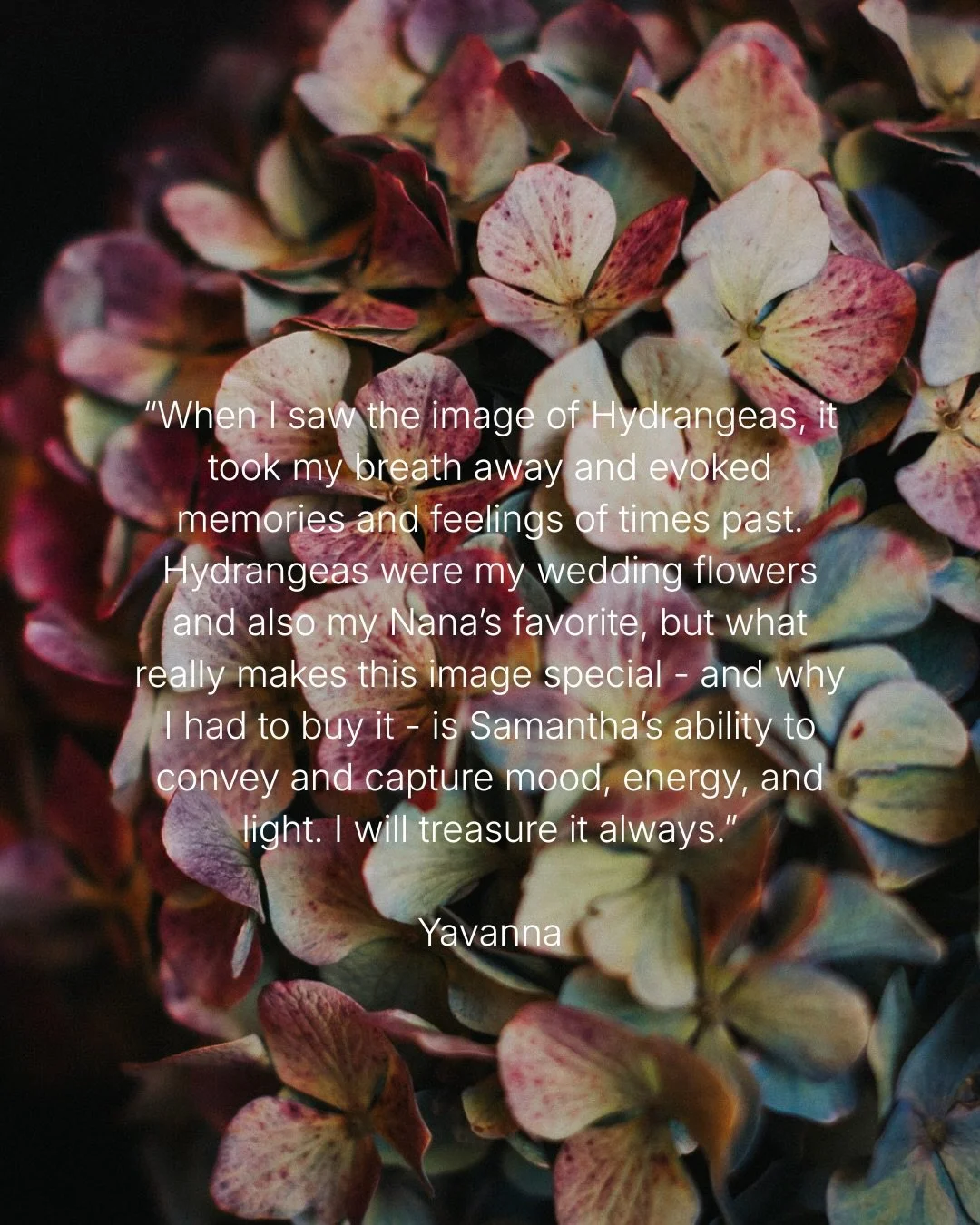 &ldquo;When I saw the image of Hydrangeas, it took my breath away and evoked memories and feelings of times past. Hydrangeas were my wedding flowers and also my Nana&rsquo;s favorite, but what really makes this image special - and why I had to buy it