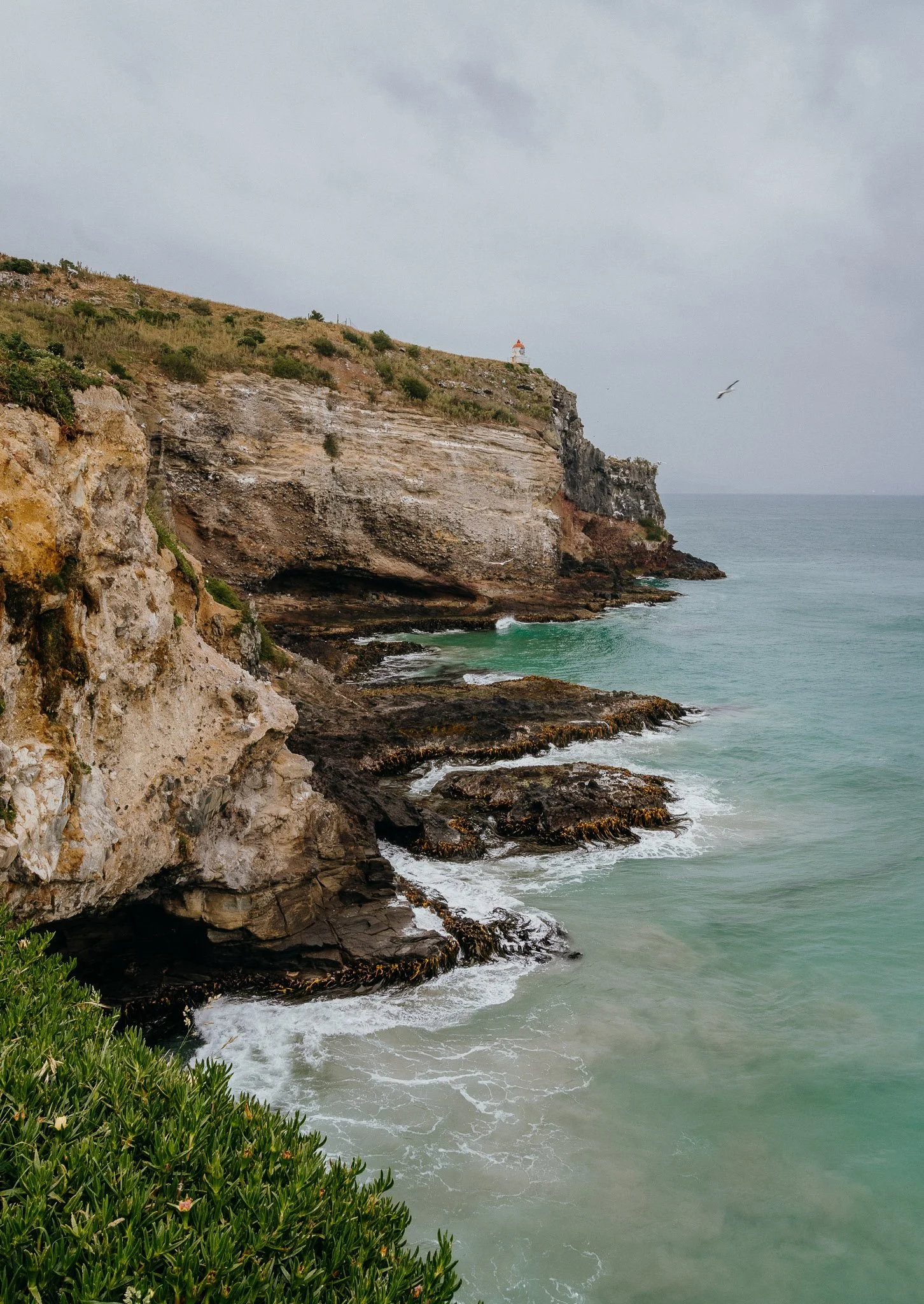Cliffs with a lighthouse on top, rugged coastline with rocks, green shrubbery in the foreground, and the ocean with waves and a seagull in the background.