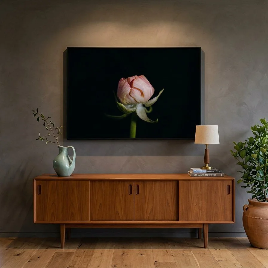Pink-ranunculus.jpg