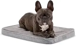 DIGGS Snooz Memory Foam Dog Bed