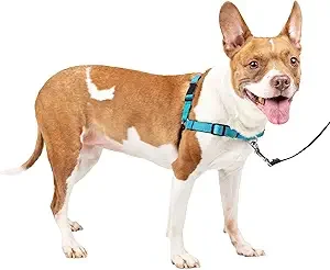PetSafe Easy Walk Deluxe Dog Harness