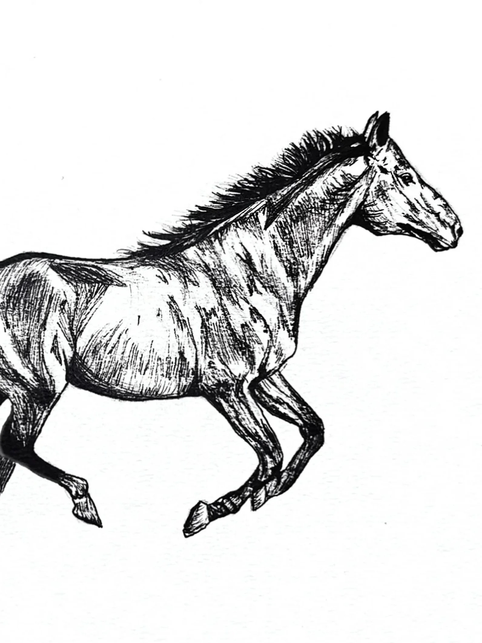 Galloping Horse