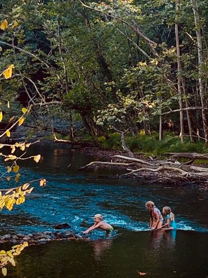 Three children playing in a creek surrounded by trees and lush greenery on a sunny day.