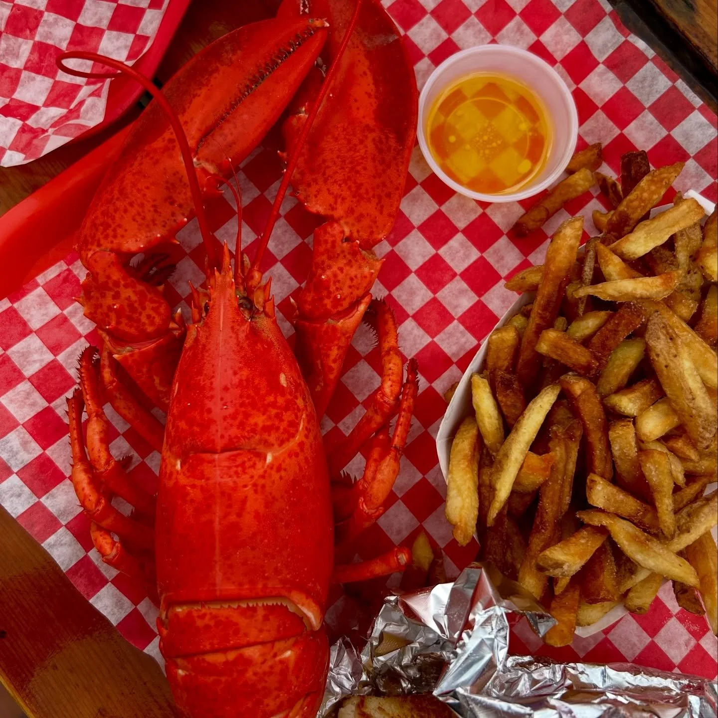 🦞🌲🫐 ✨