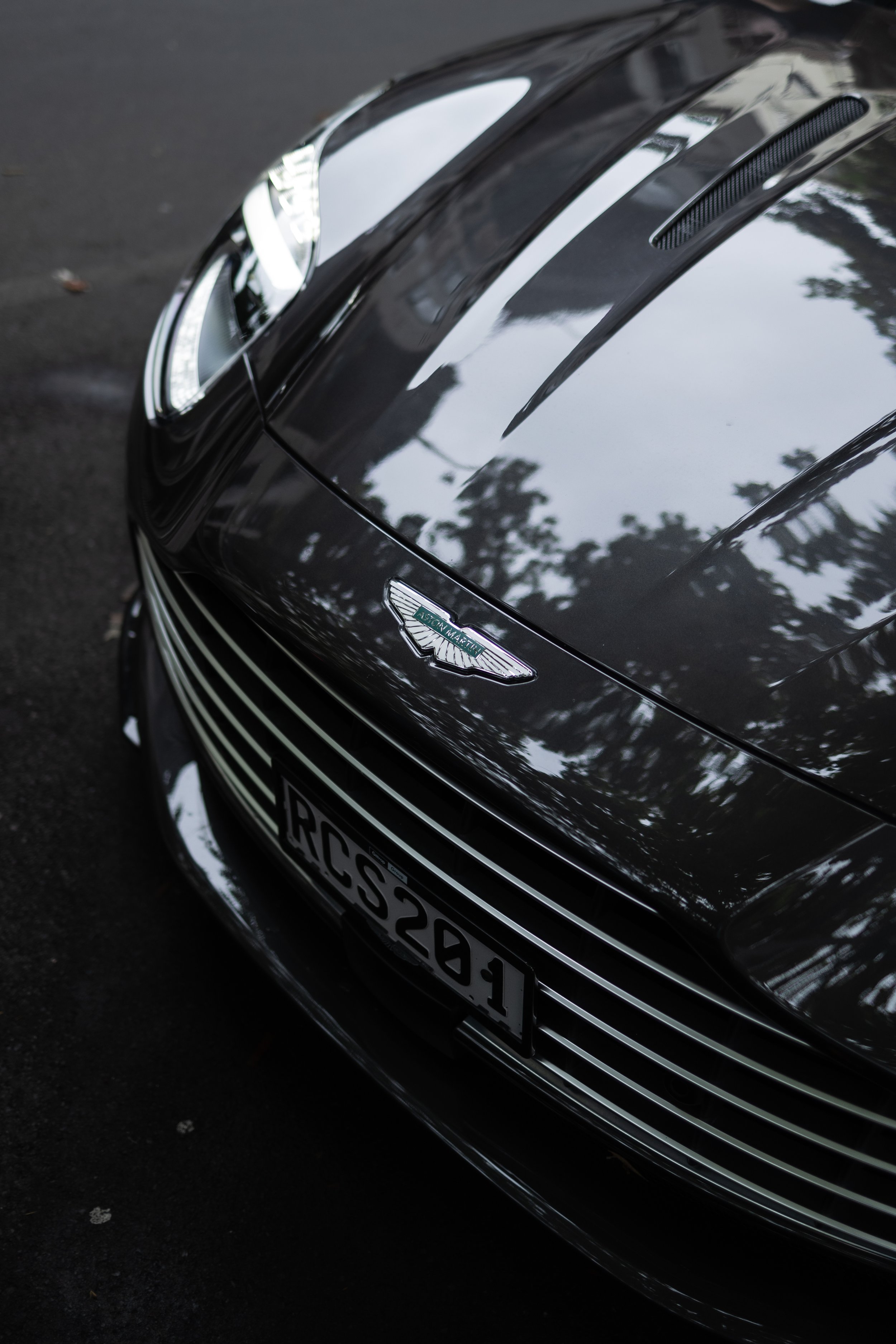 0C4A6537.jpg