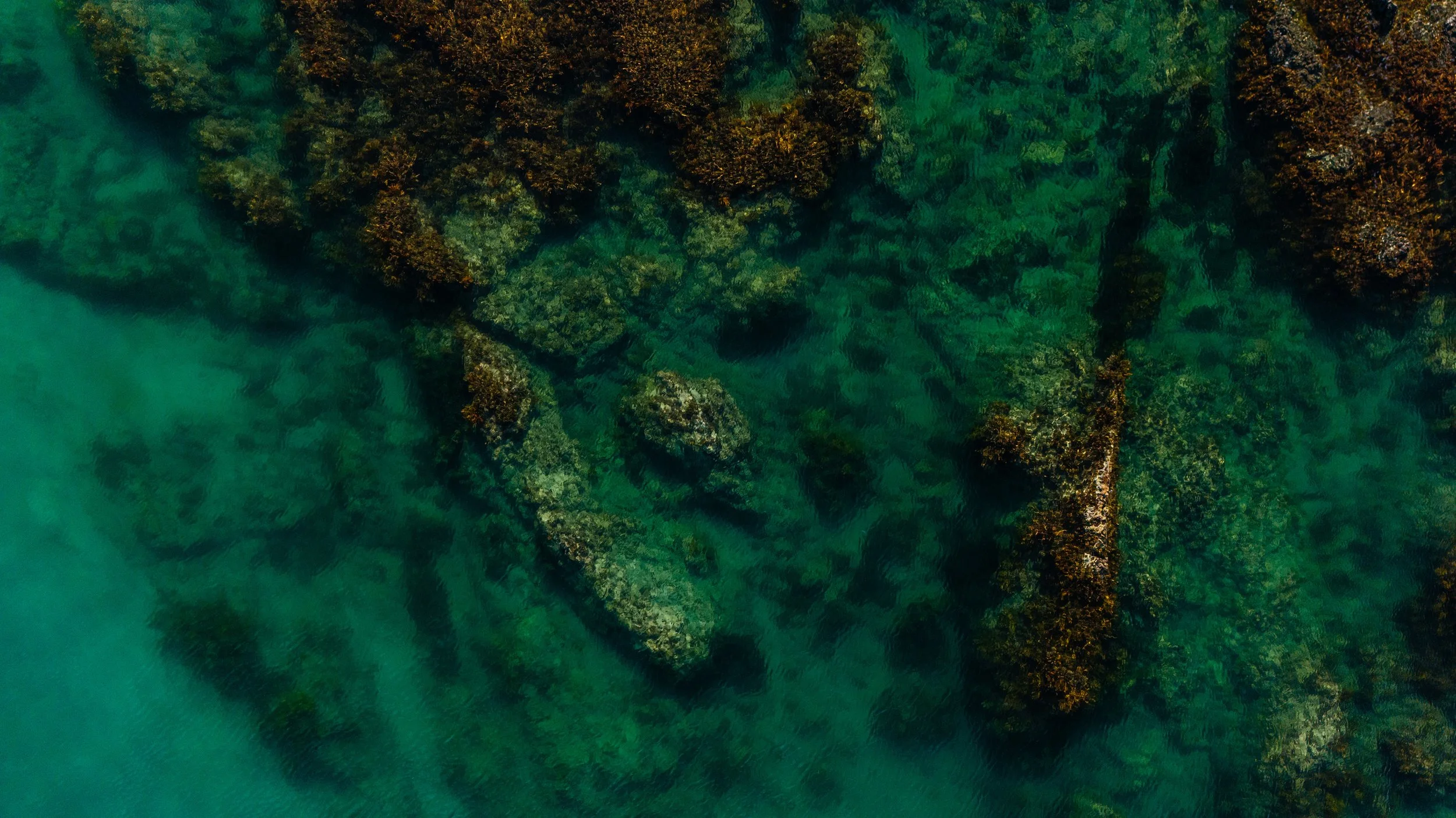 DJI_20250107180222_0278_D 2.jpg