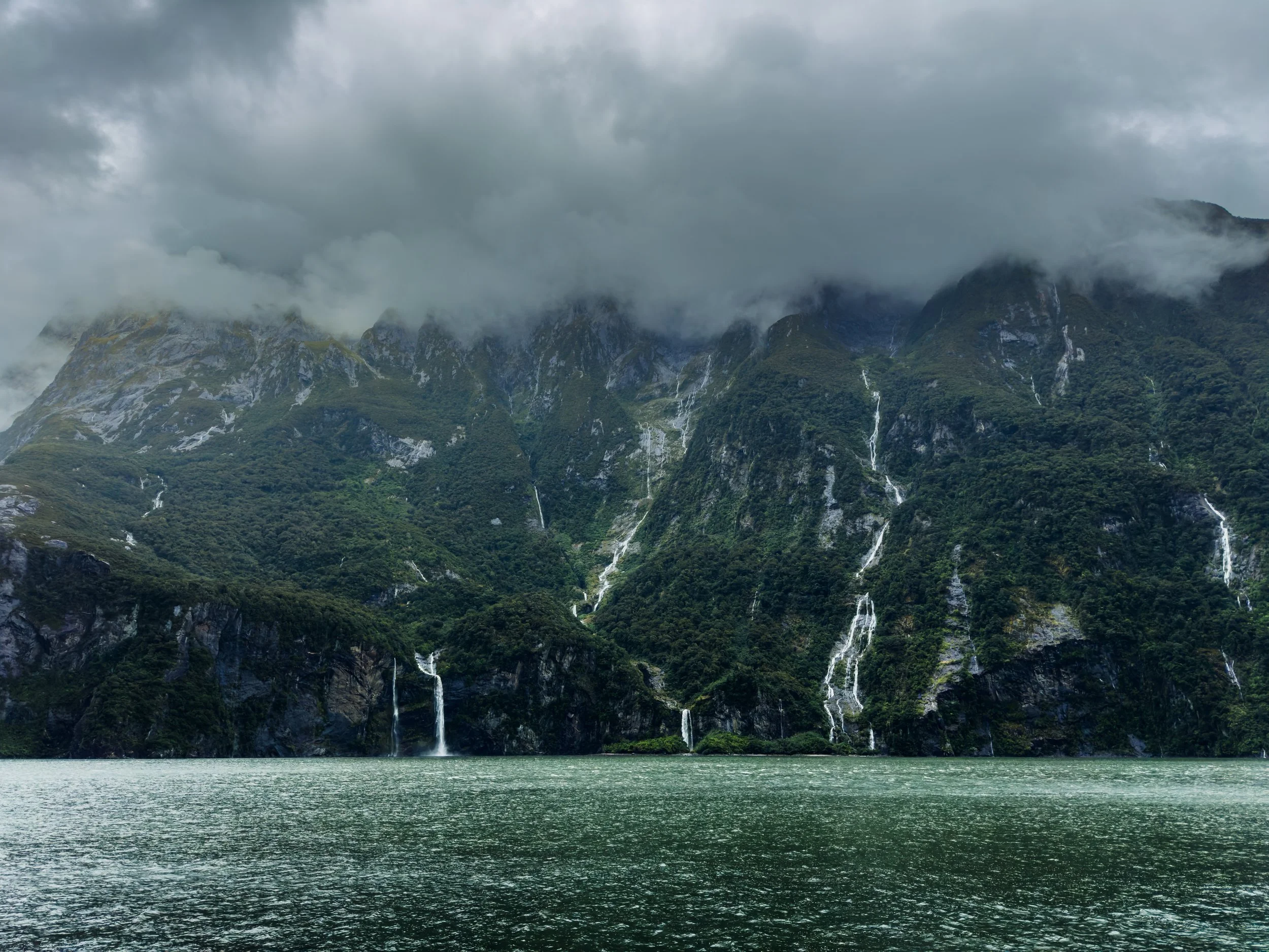IMG_4736.JPG
