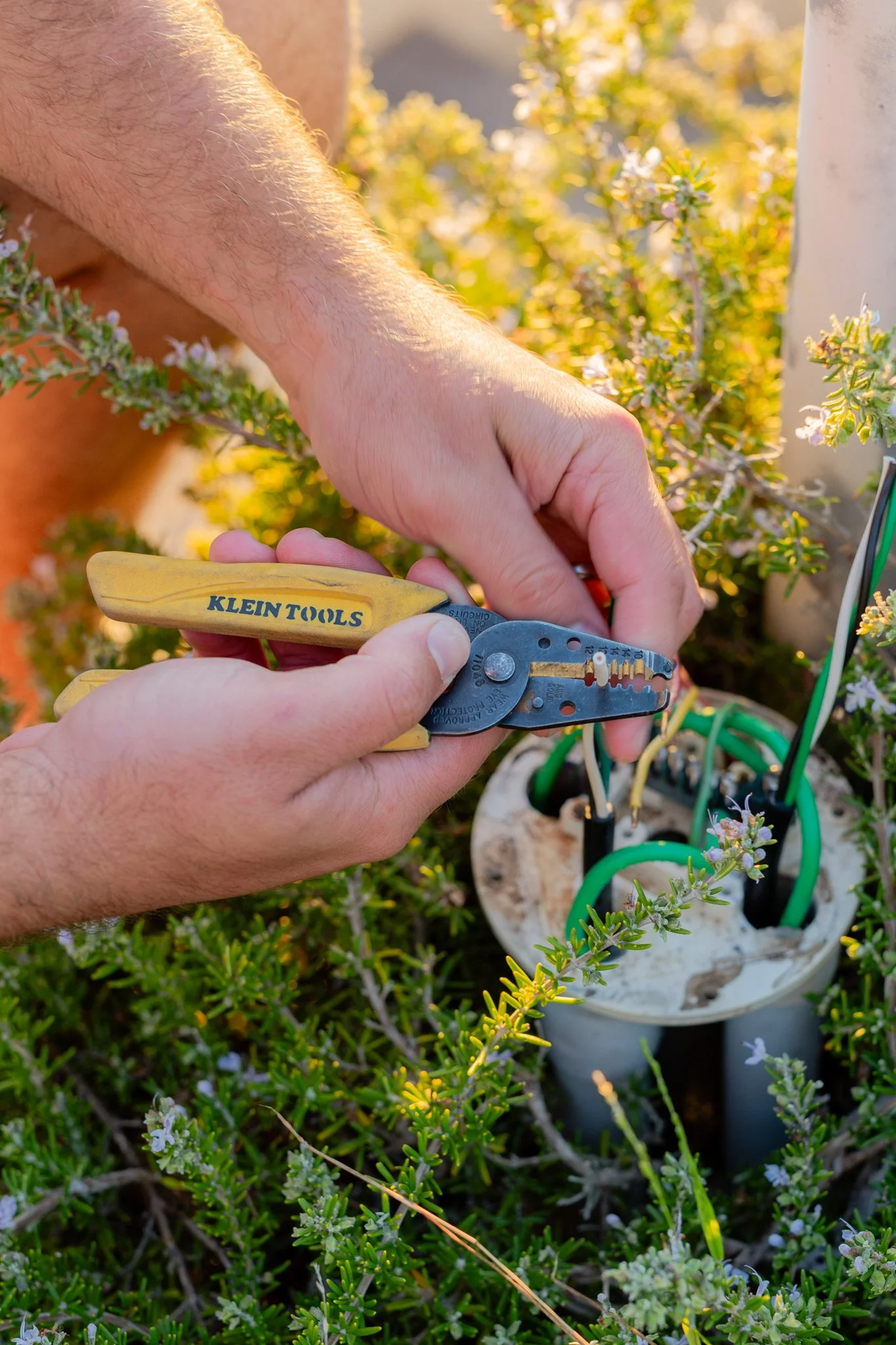 A person using Klein Tools wire cutters to trim wires connected to outdoor pool light electrical wiring in a garden or shrubbery.