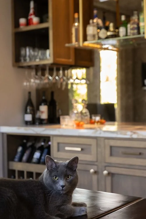 Bay Meadow Chef's Kitchen Kelly Tivey Interior Design_018.jpeg