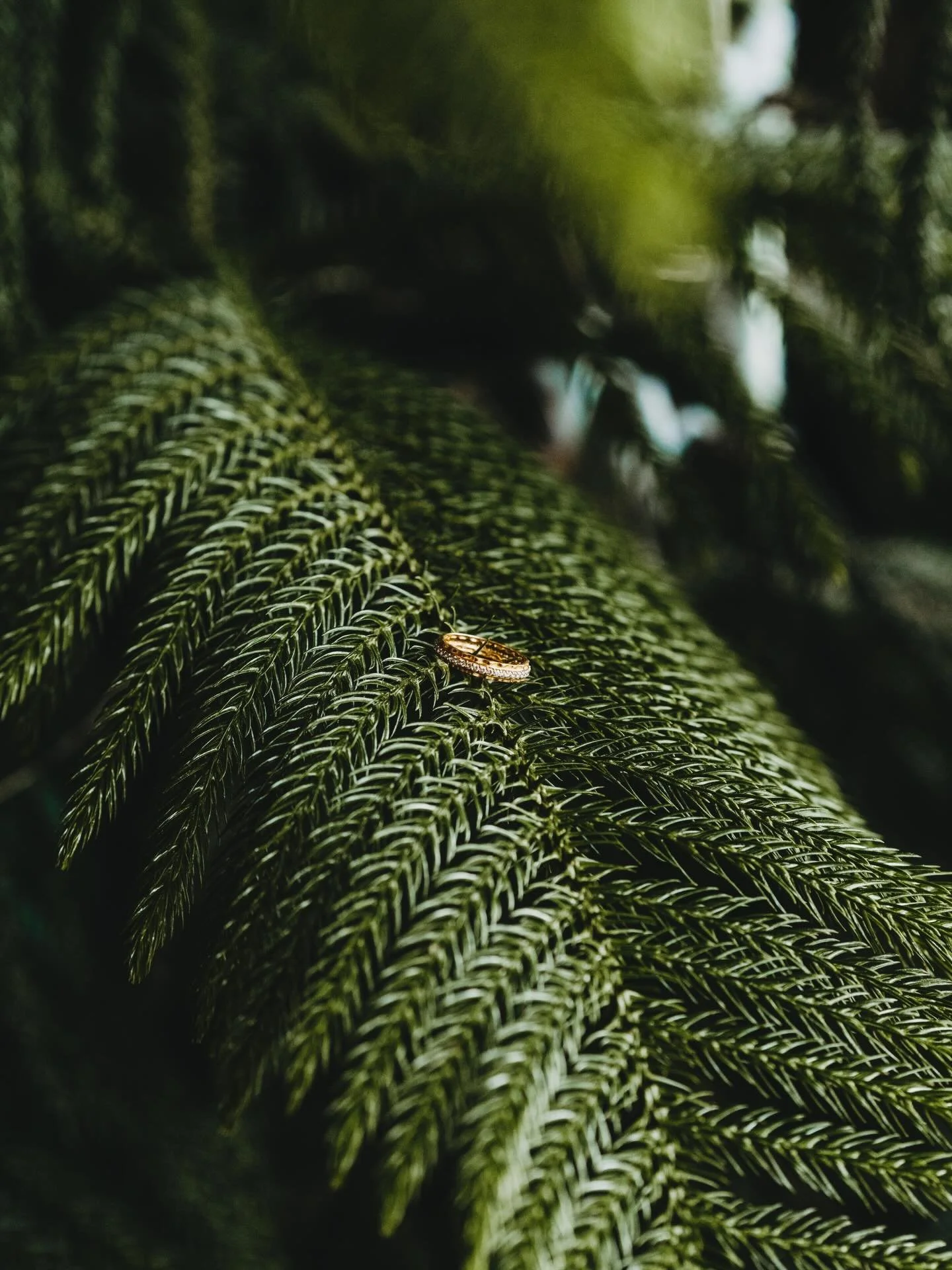 📸 All about the details, Anzhella&amp;Raed
Need professional Wedding photos that capture all the details at an affordable price? Book now link in bio!
#wedding #weddingphotographer #pnw