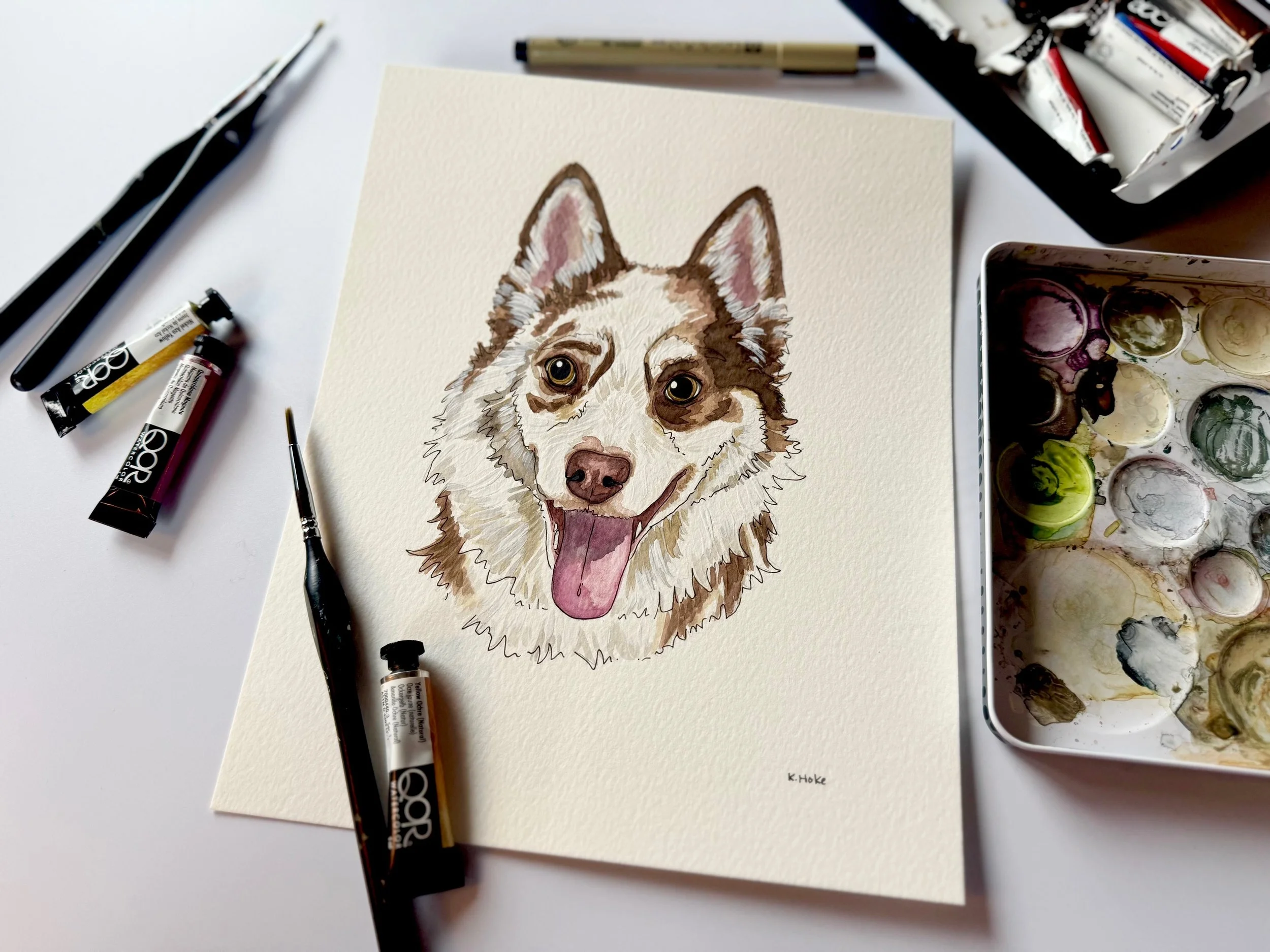 Pet Portrait