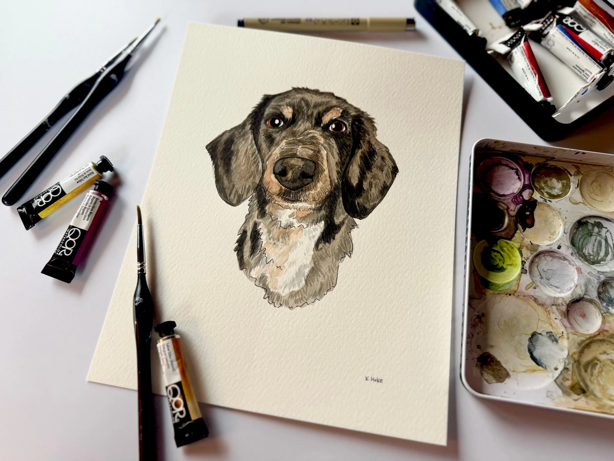 Pet Portrait