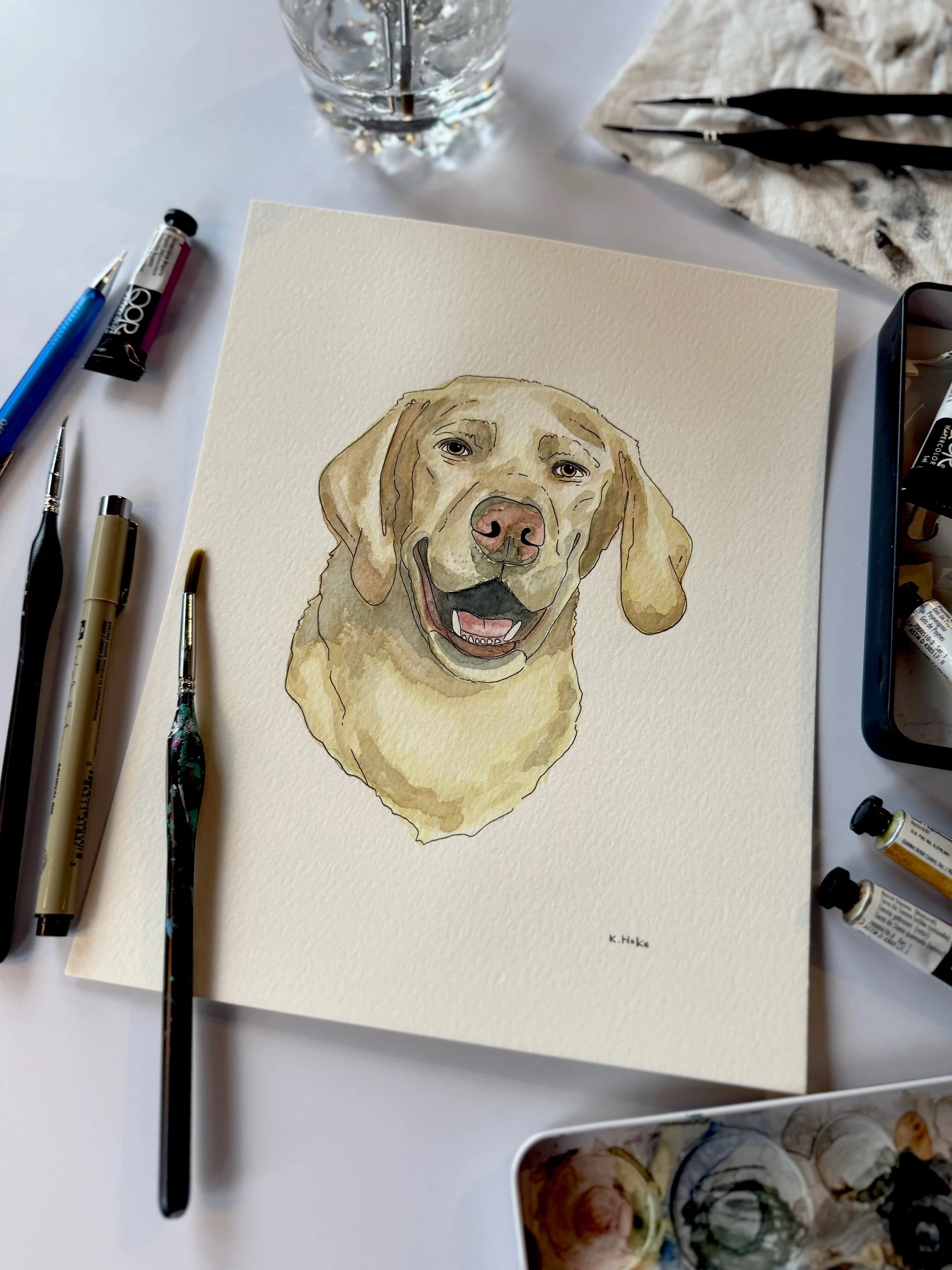 Pet Portrait