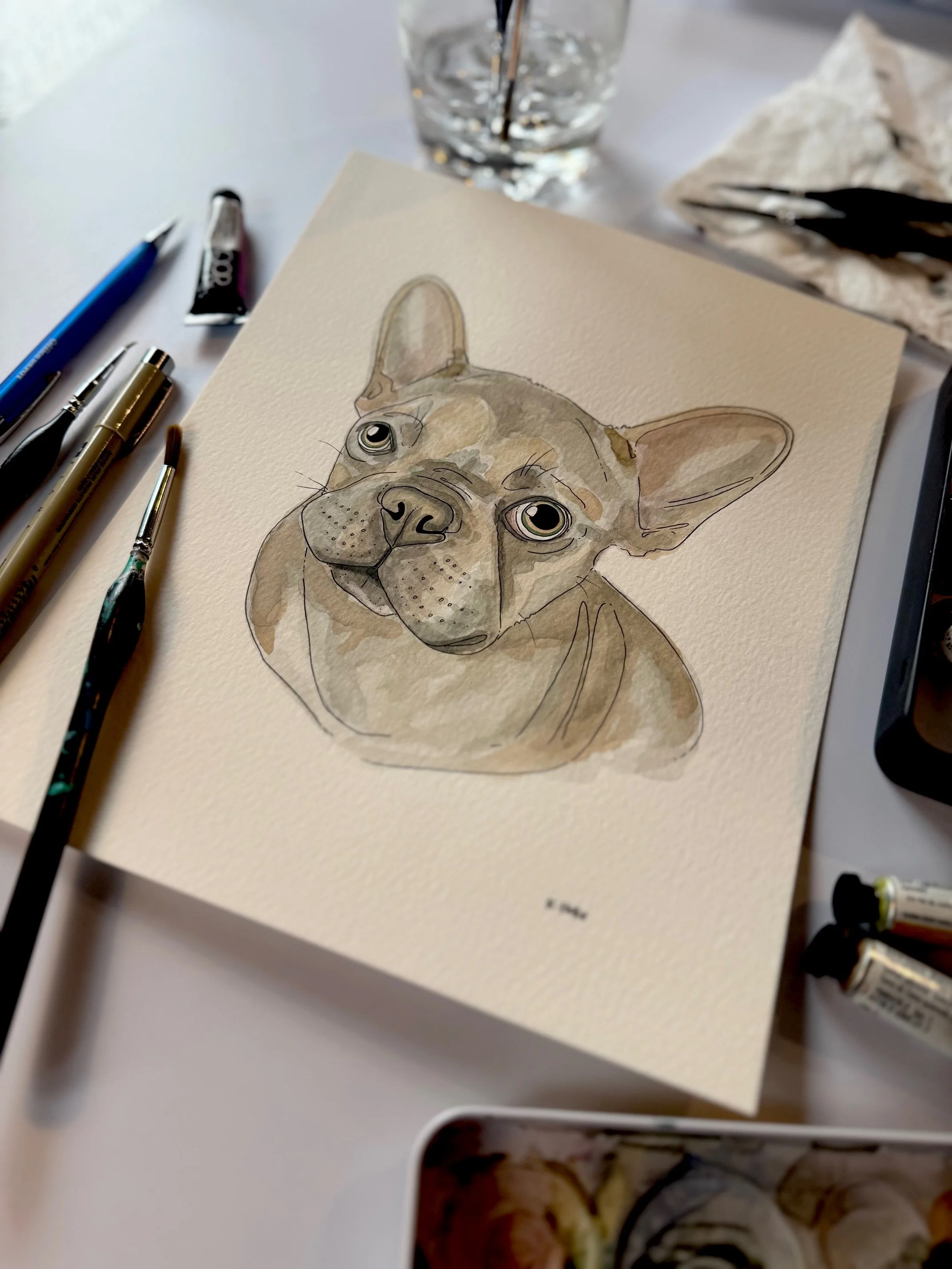 Pet Portrait