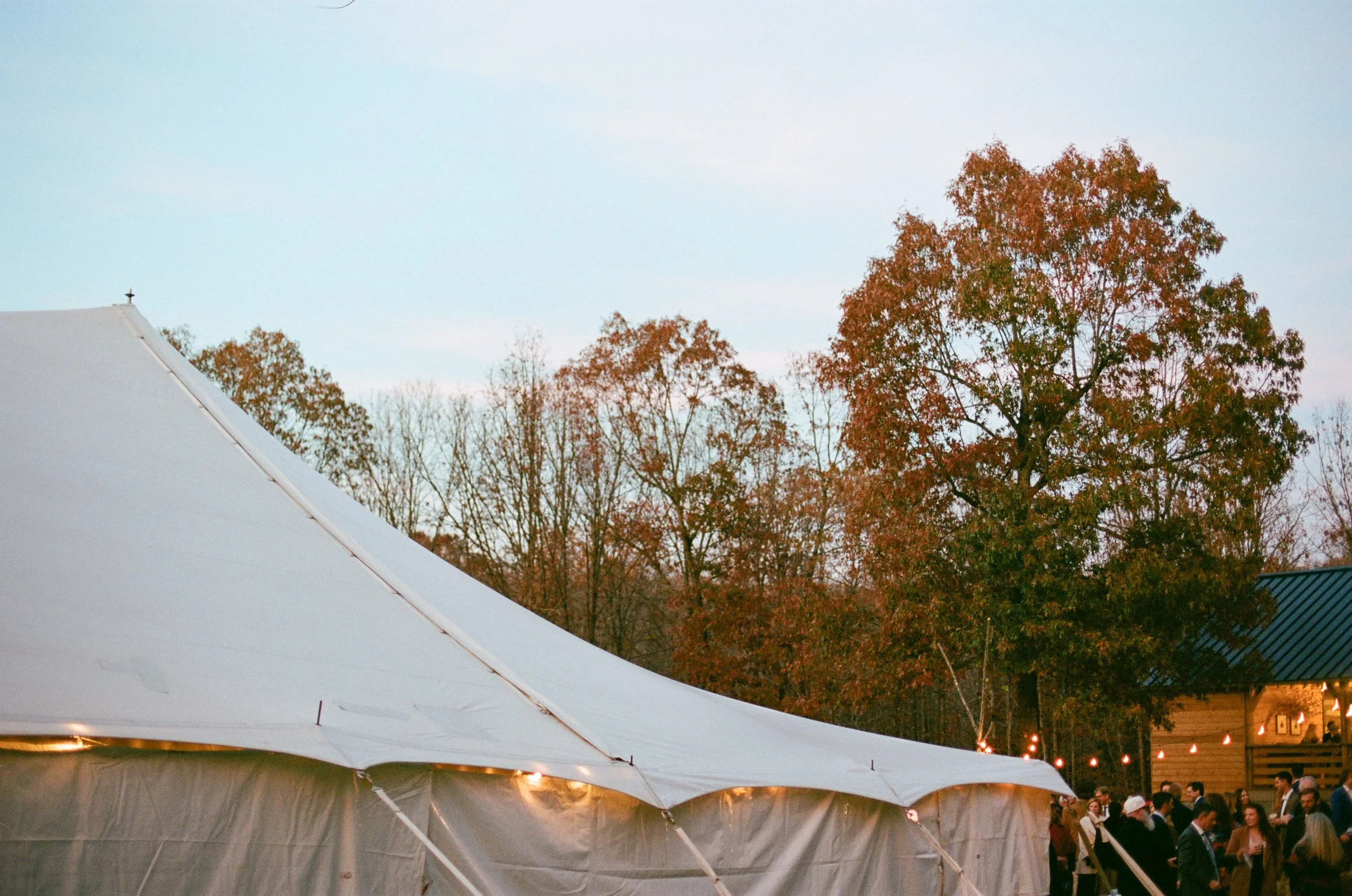 Outdoor gathering under a large white tent with string lights, in a setting with tall trees with autumn-colored leaves.