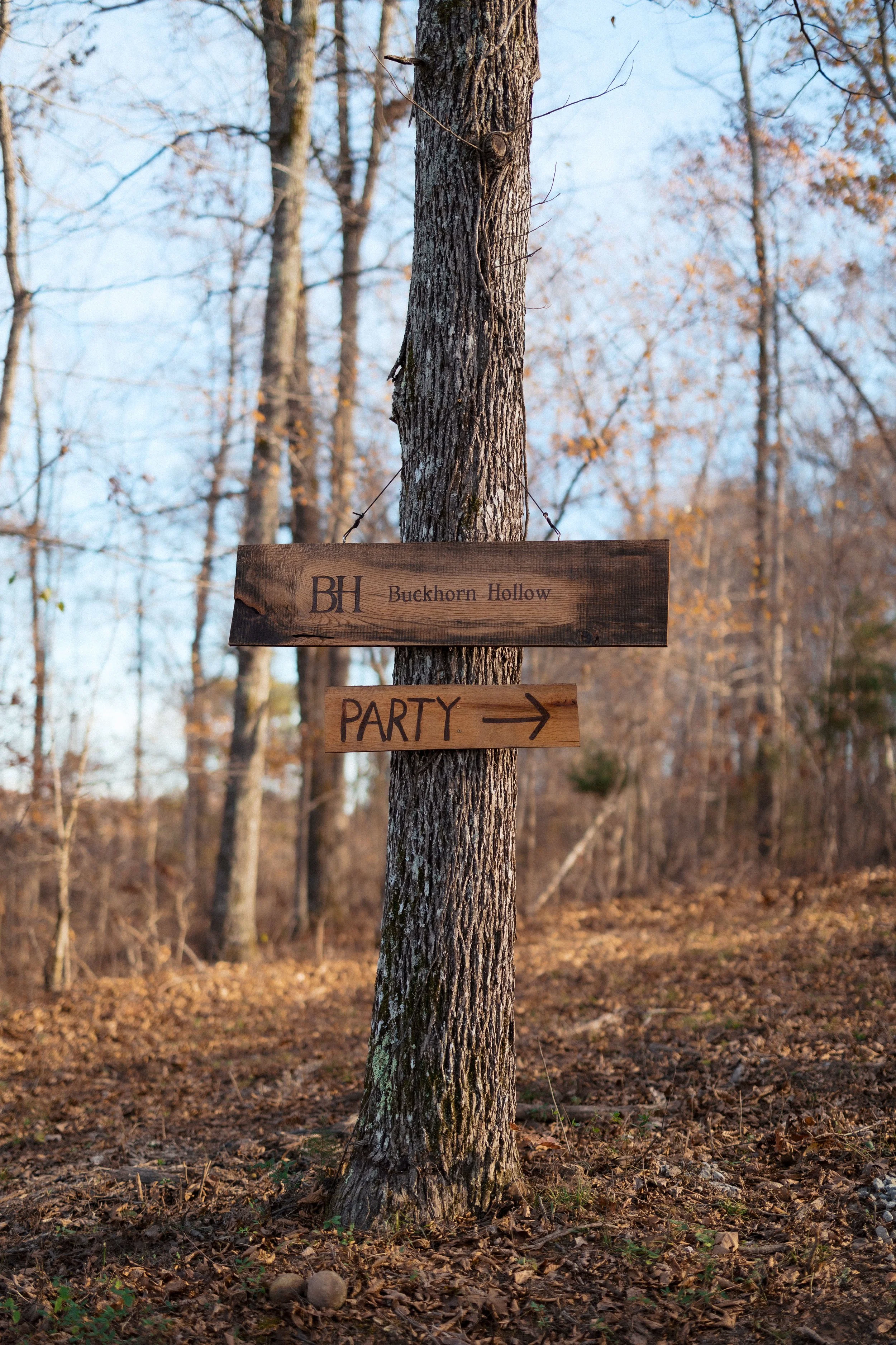 Tree with two wooden signs attached. The top sign reads 'BH Buckhorn Hollow' and the bottom sign says 'PARTY' with an arrow pointing to the right.