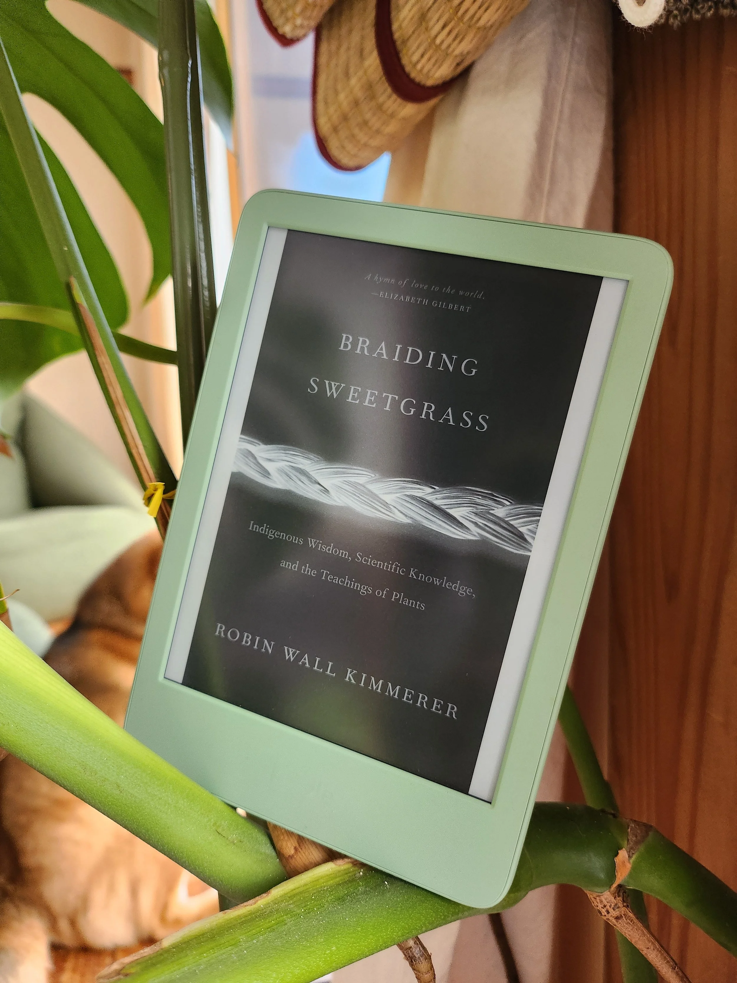 09. (Book Review) Braiding Sweetgrass