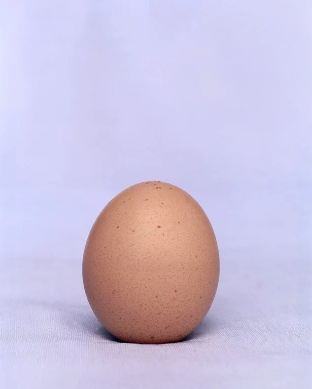 livpennington-dozenrejectedegg-no5.jpg