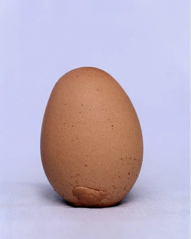 livpennington-dozenrejectedegg-no2.jpg