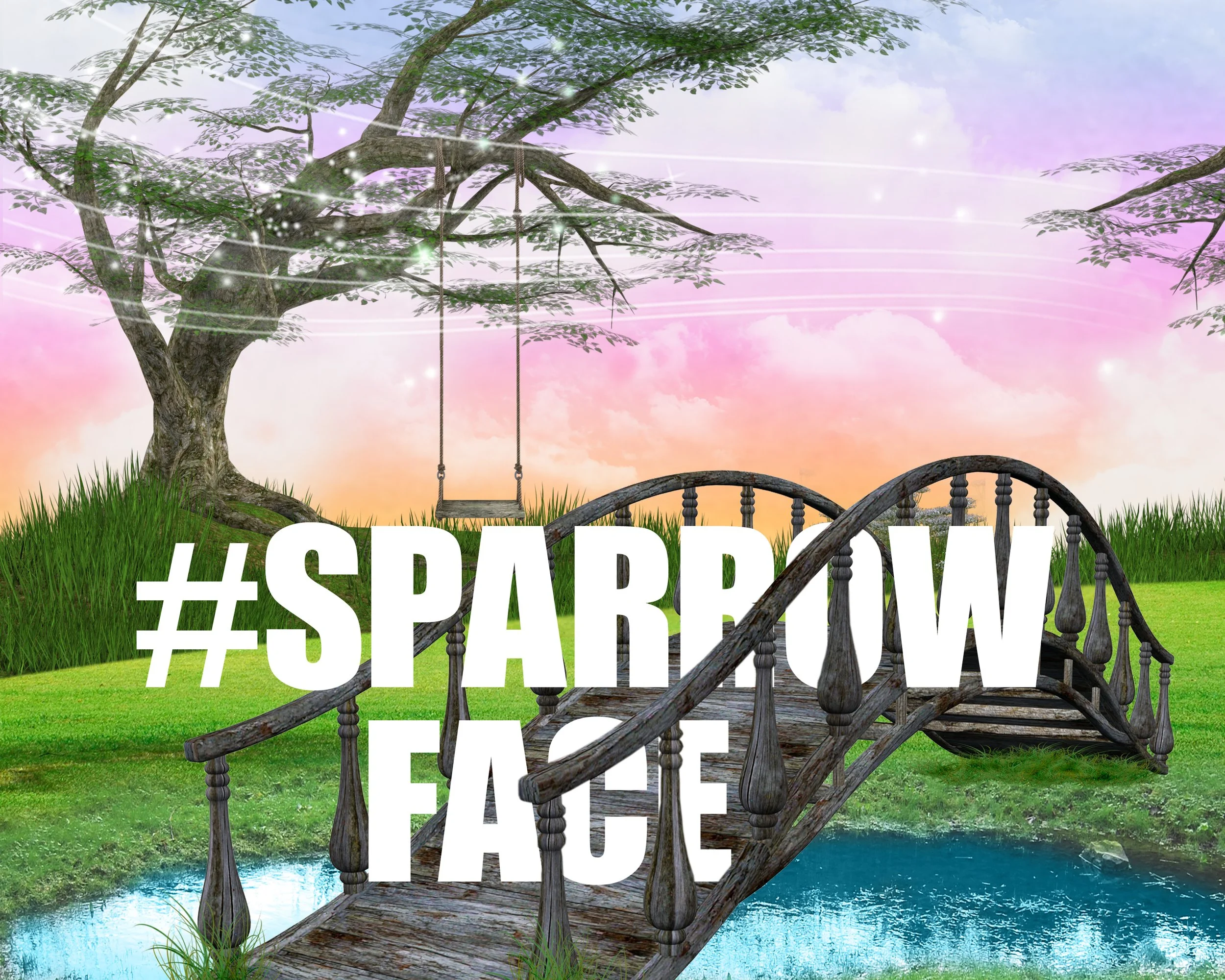23SPARROWFACE.jpg