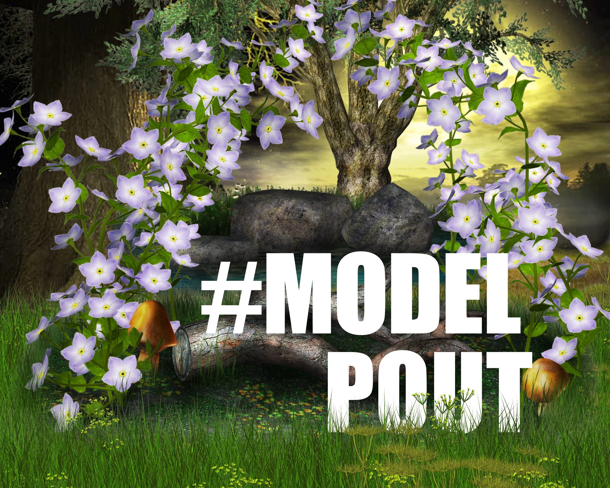 MOdelPout_2.jpg
