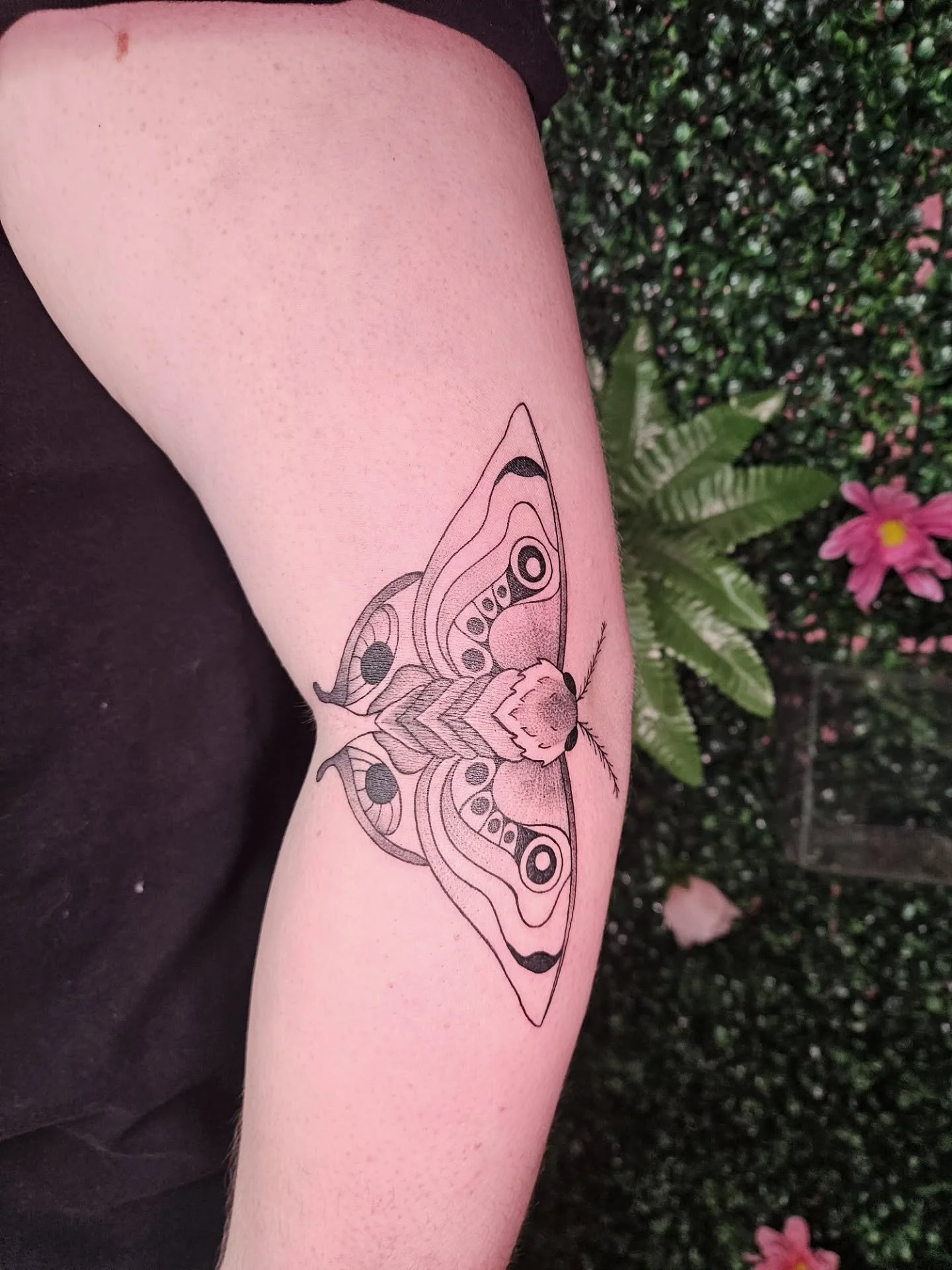 I finally got to play with this "expandable" placement! Thank you Shelby 🦋