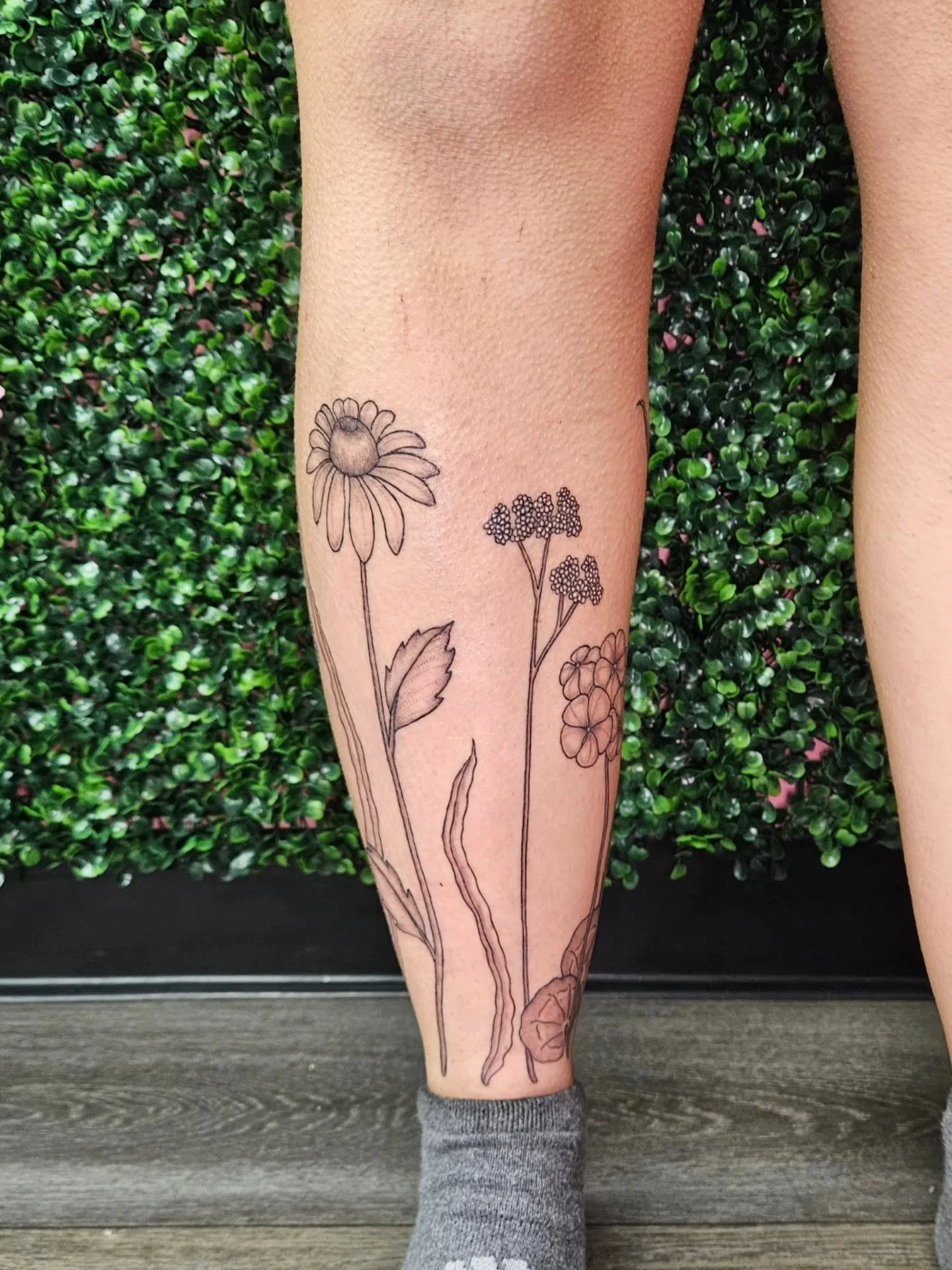 365 Planty Girl 💚
I'm so funny.. anyways! Thank you Lena for letting me work on this project with you! I'm obsessed!