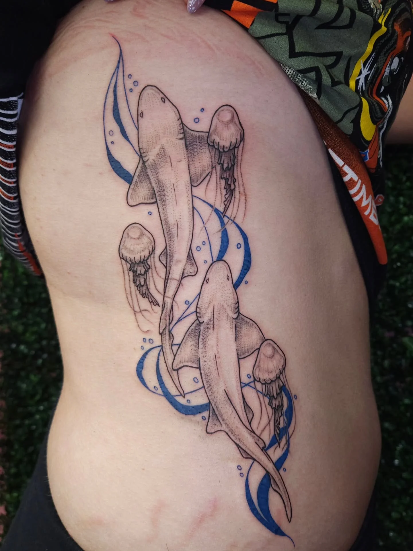 Nursing sharks and jellyfish for Charlotte, thank you! 💙