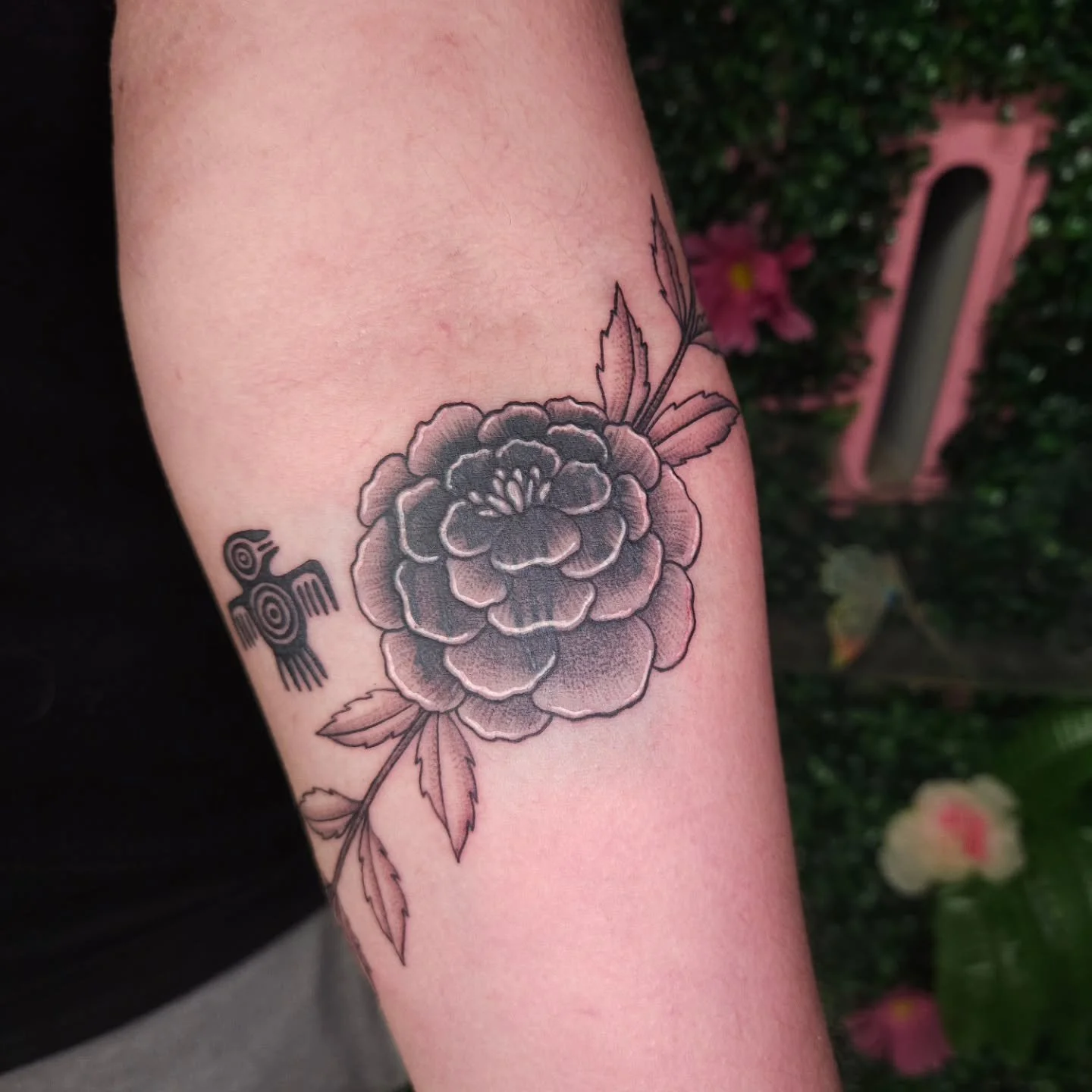 Covering up a blown out tattoo for Melissa, thank you for trusting me with this! 🩷 we also added the bird and vine to it too