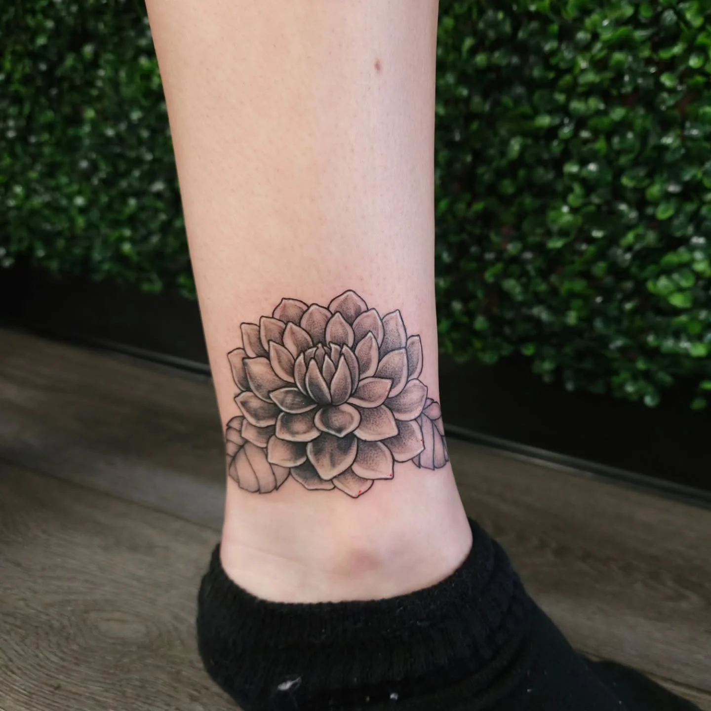 Coverup for Avrie 💖