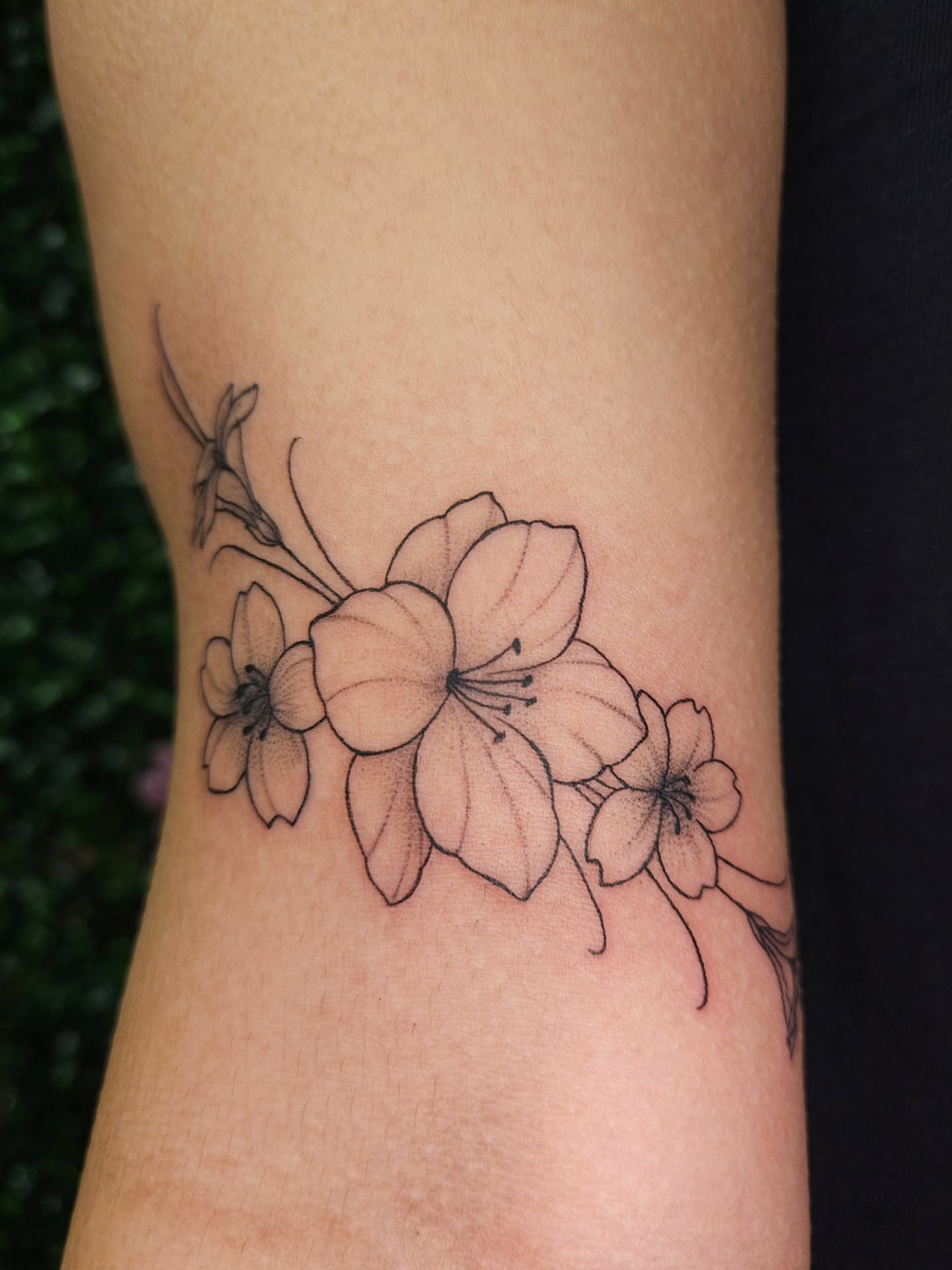 Cute little arrangement for Emily's first tattoo! ✨️