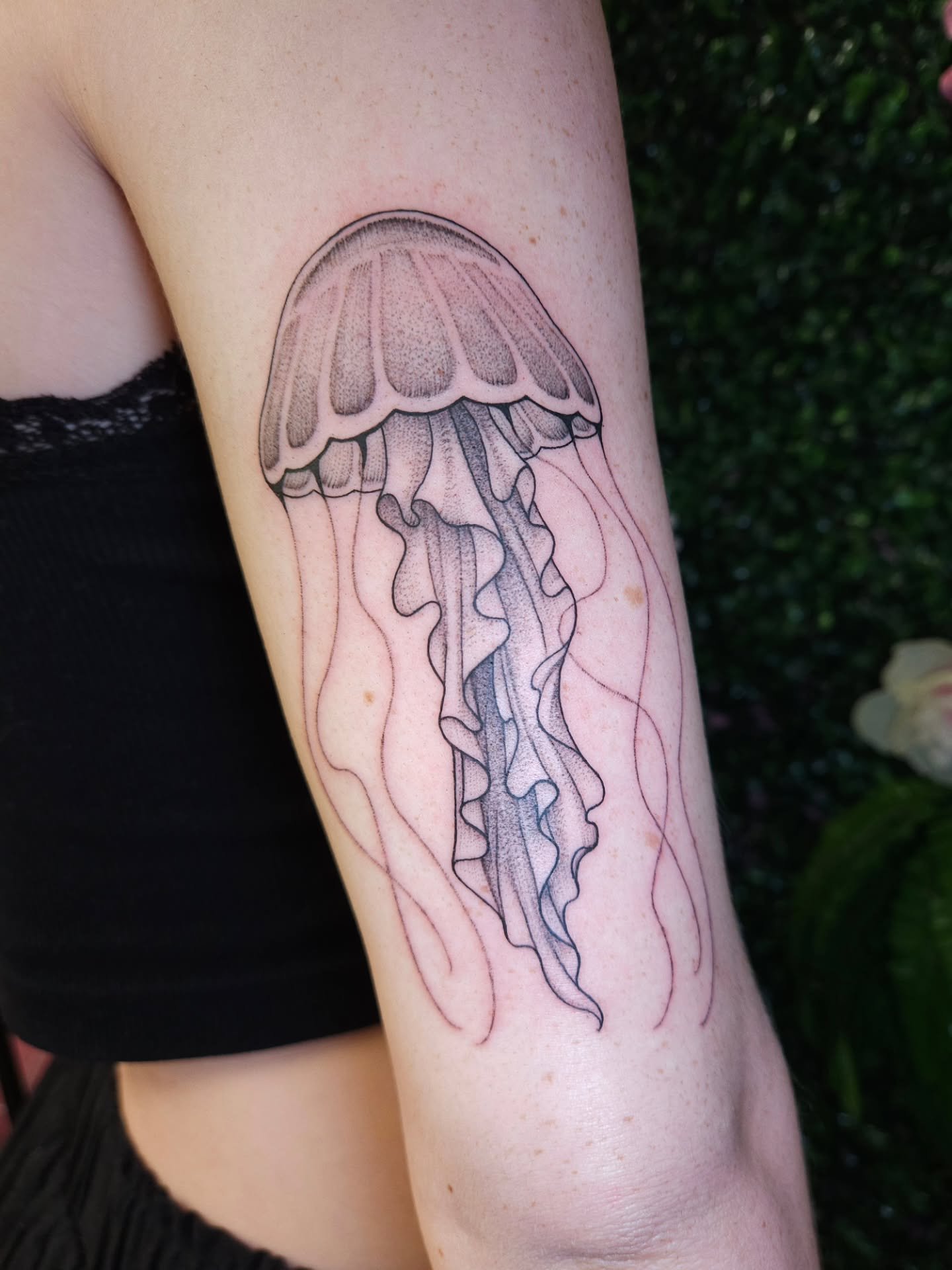No touchies 🪼

Thank you Taylor!

Booking for July, link in bio 🦋