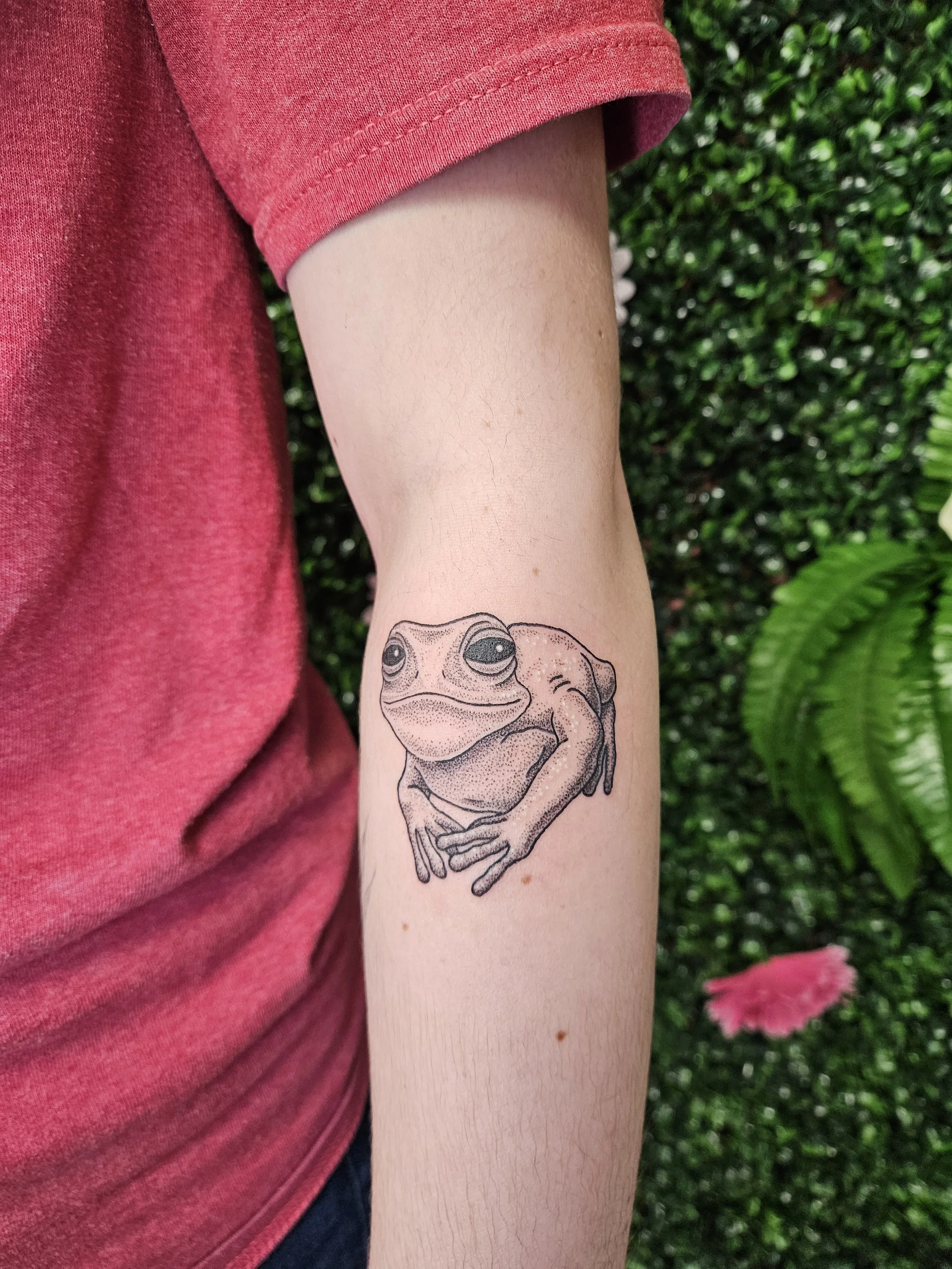 A tattoo of a frog on the person's forearm.