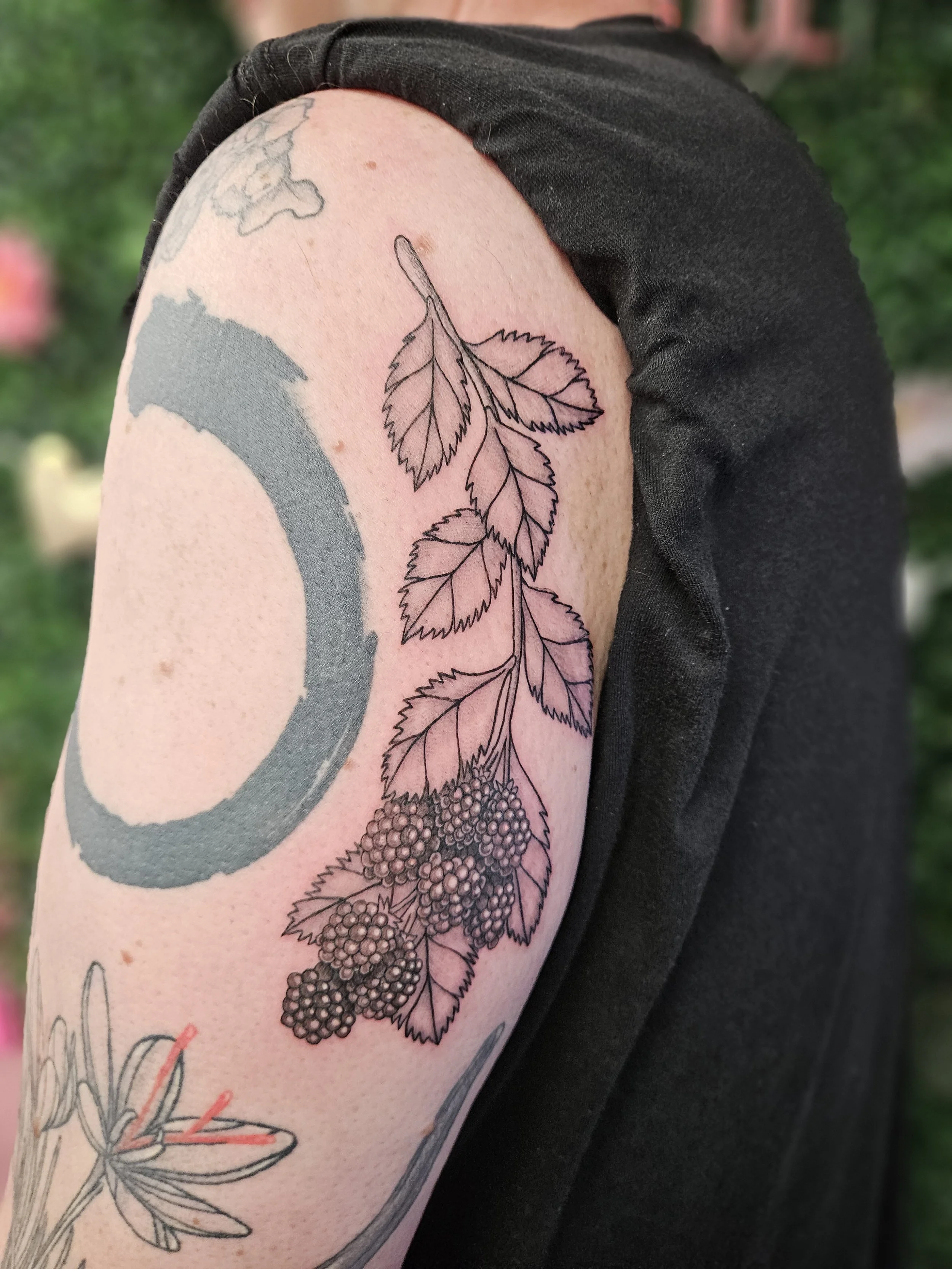 Tattoo of a blackberry branch with leaves on a person's upper arm.