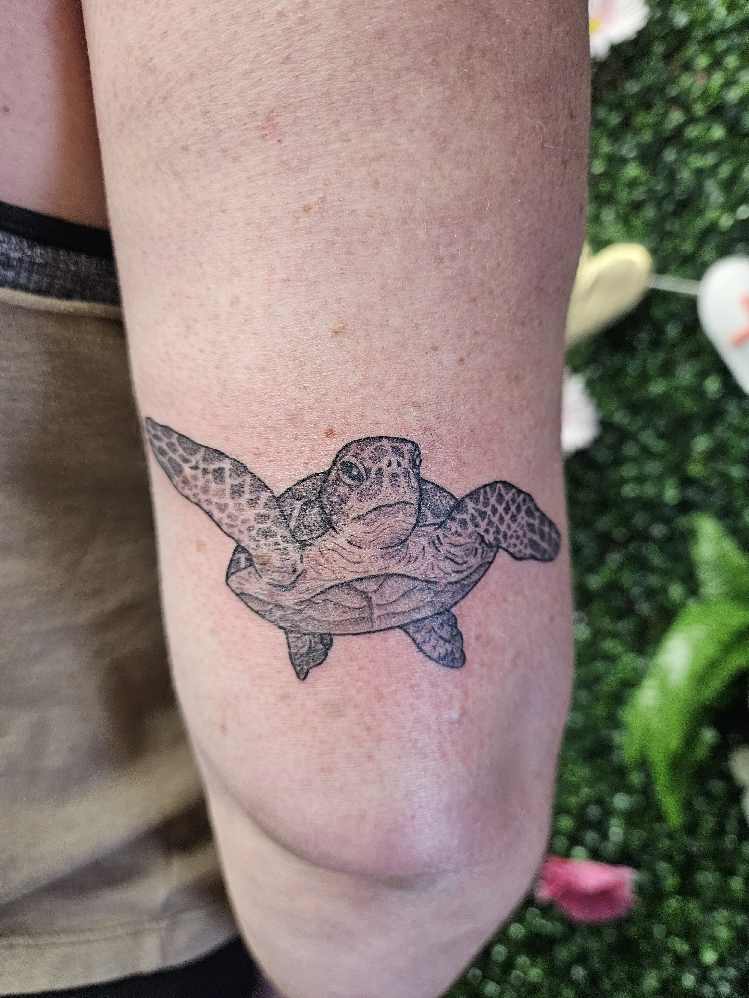 Tattoo of a turtle on a person's arm.