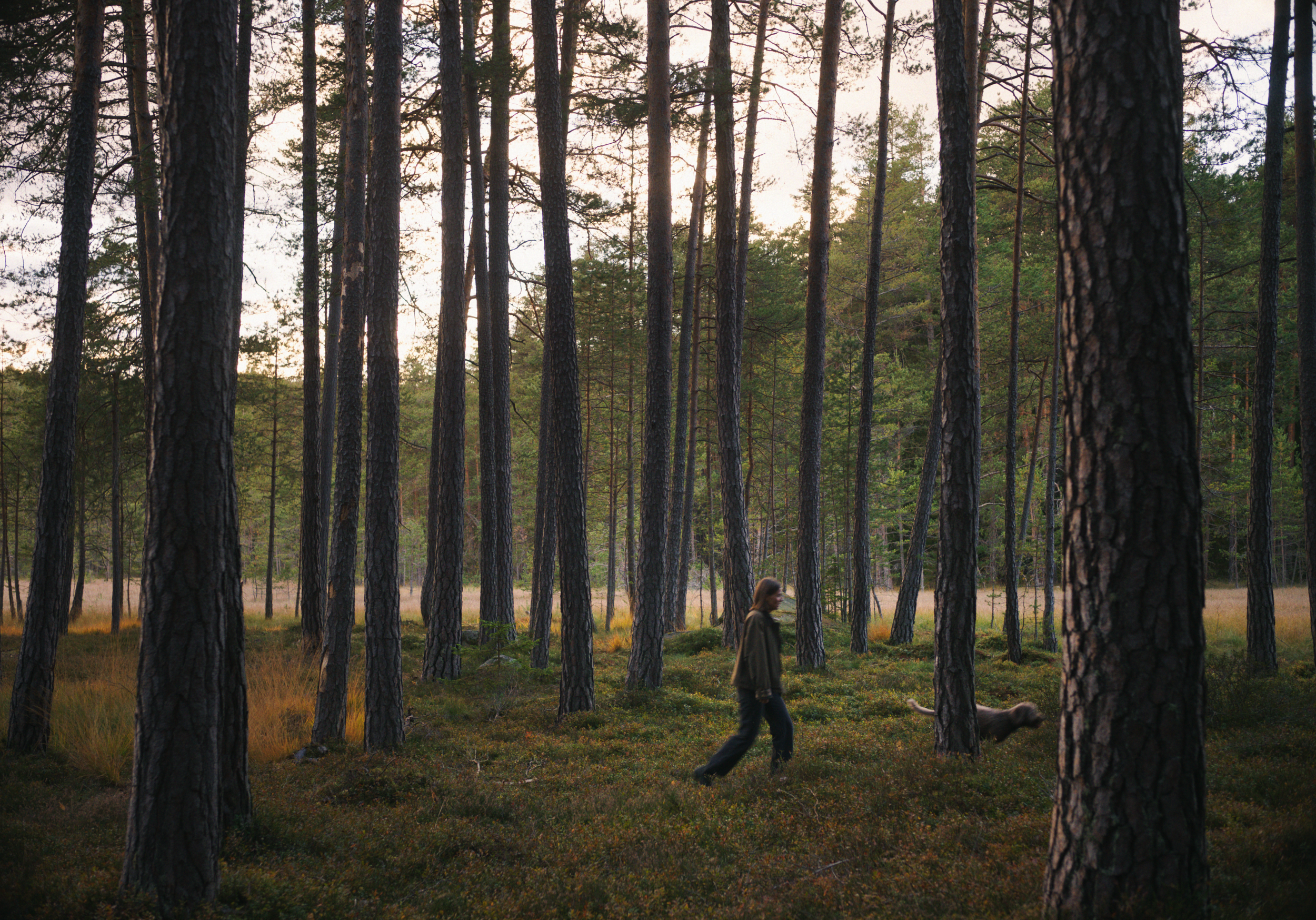 Still 2026-03-24 132827_2.13.1.png