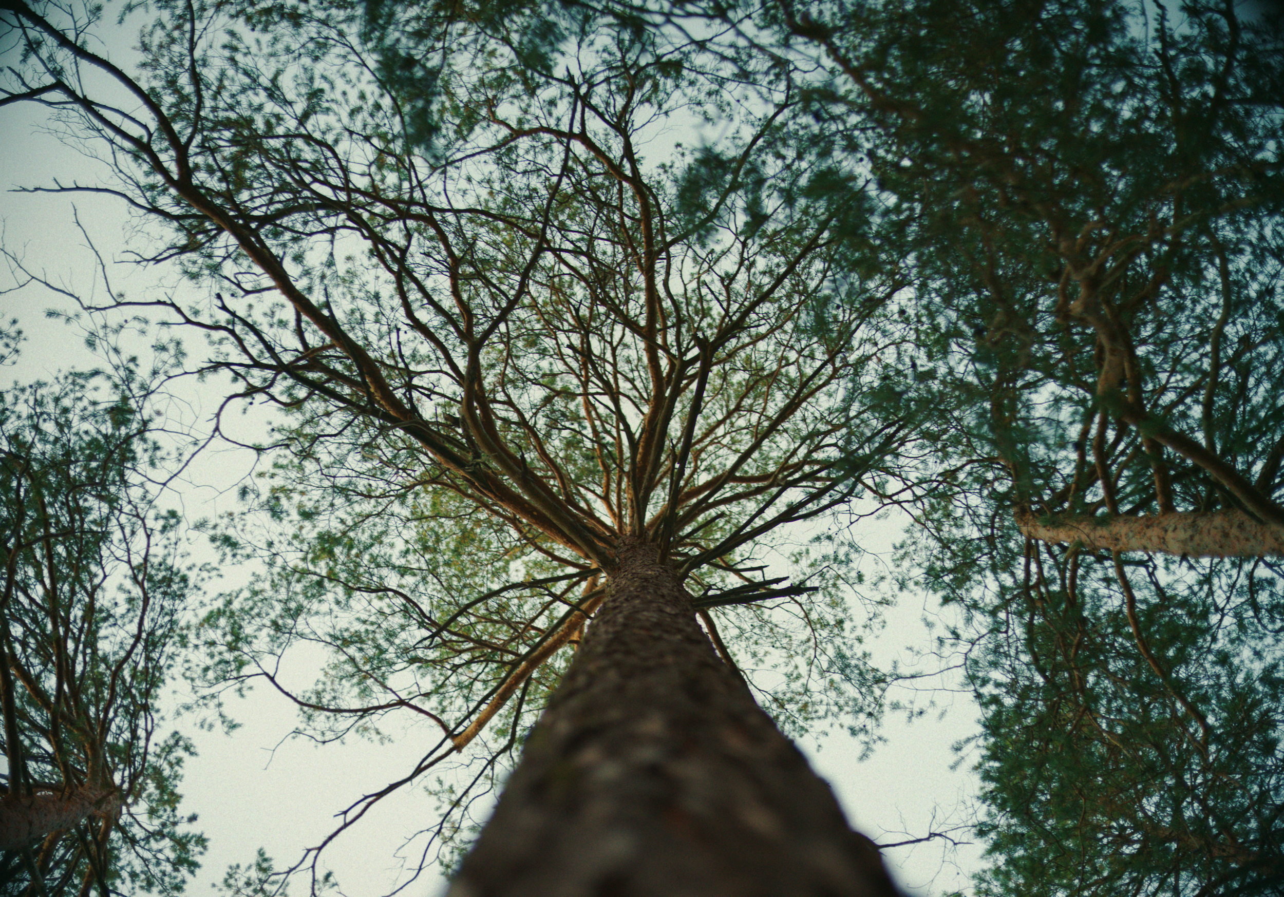 Still 2026-03-24 132827_2.16.1.png