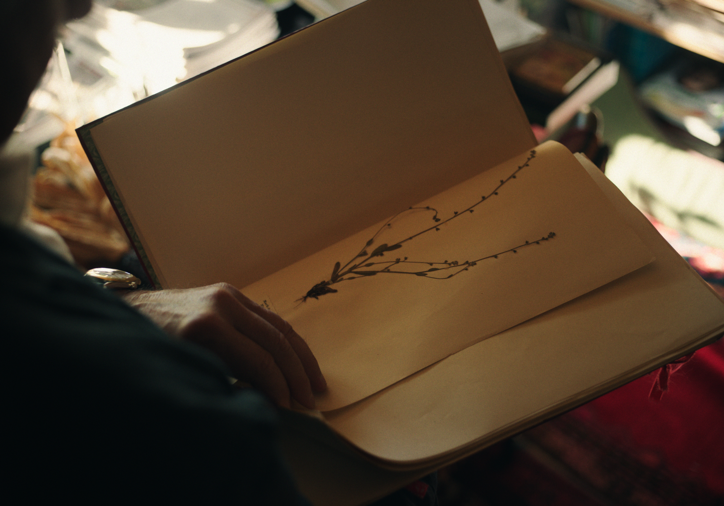 Still 2026-03-24 132827_2.20.1.png