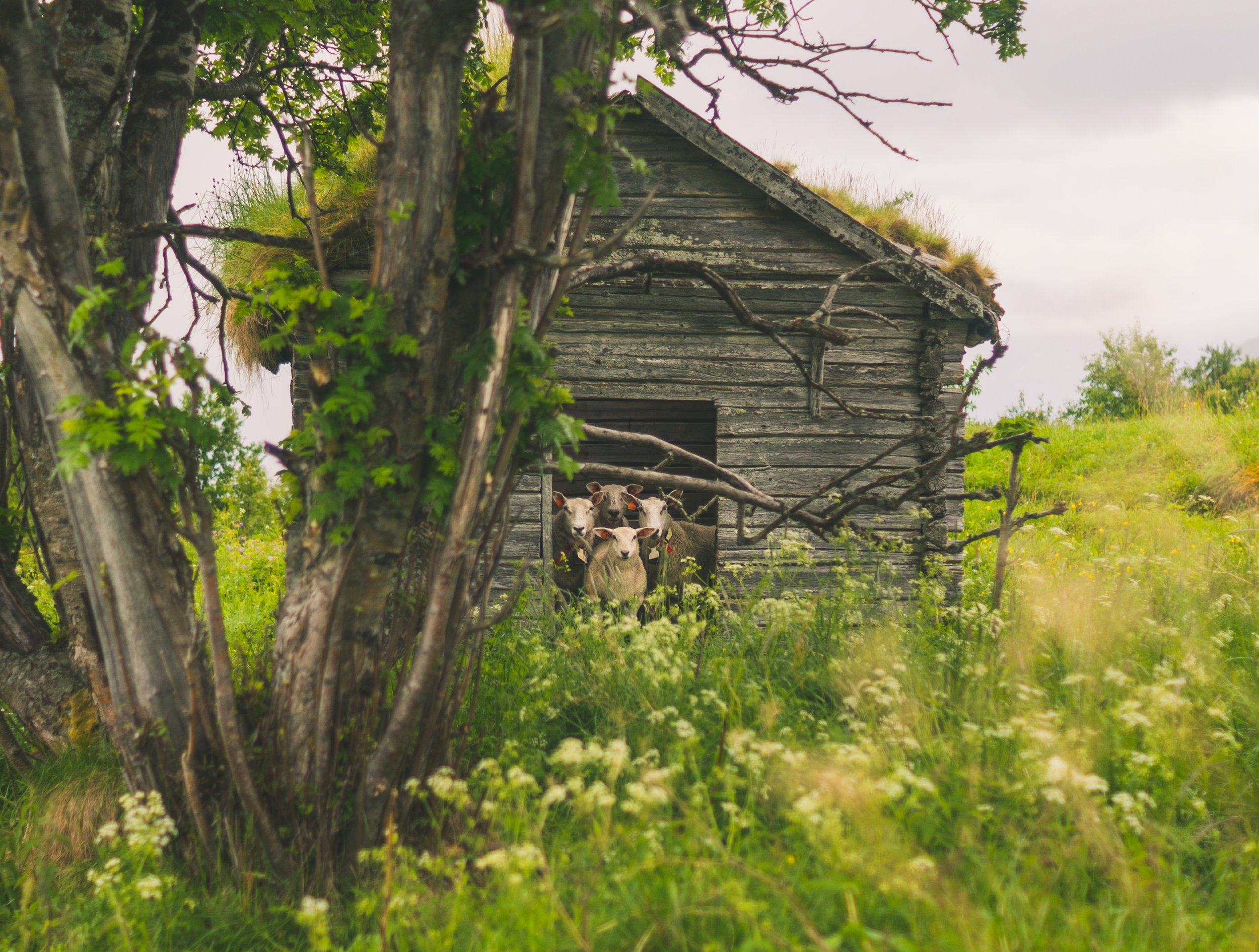 untitled (12 of 38).jpg